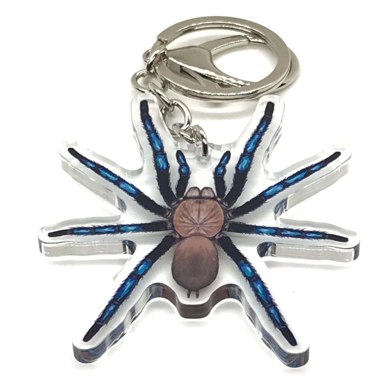 Neon blue Birupes simoroxigorum tarantula acrylic keychain from The Silk Ranch, featuring detailed leg and body design.