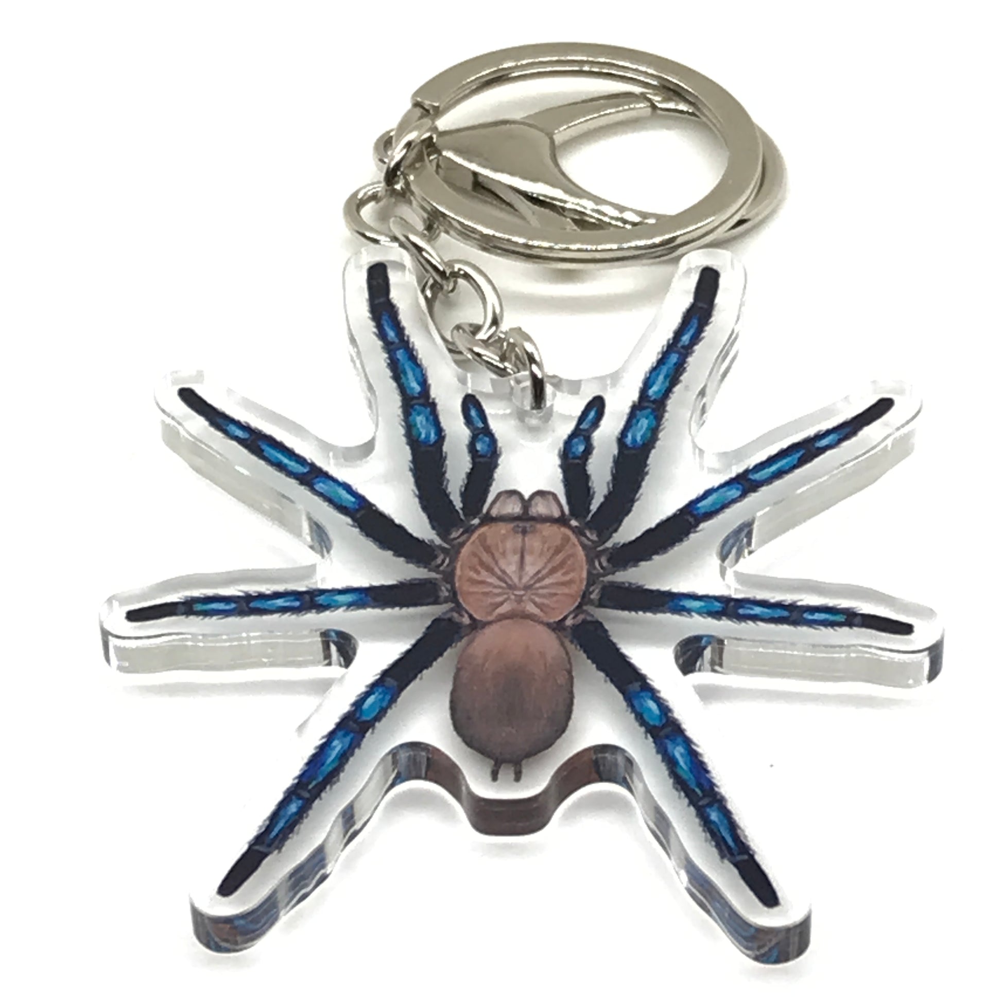 Neon blue Birupes simoroxigorum tarantula acrylic keychain from The Silk Ranch, featuring detailed leg and body design.
