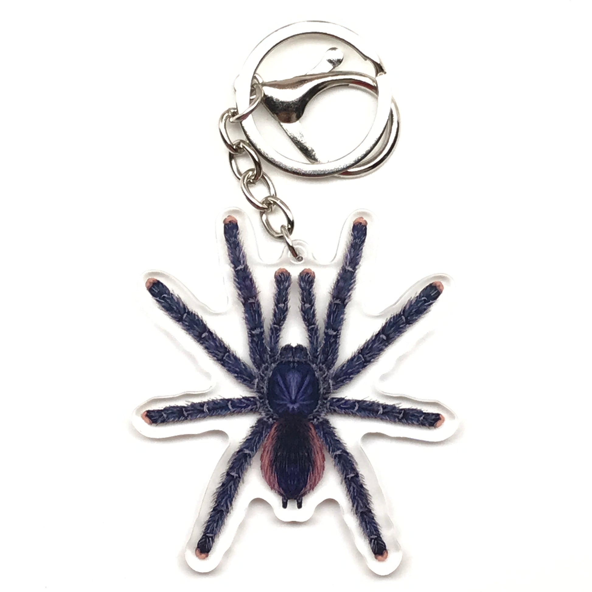 Peruvian Pinktoe Tarantula keychain featuring Avicularia juruensis acrylic charm with detailed pinktoe tarantula design.