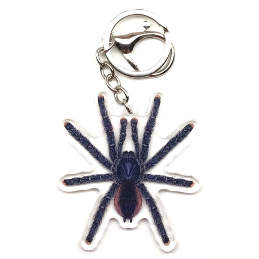 Peruvian Pinktoe Tarantula Keychain, Avicularia Juruensis Acrylic Charm from The Silk Ranch