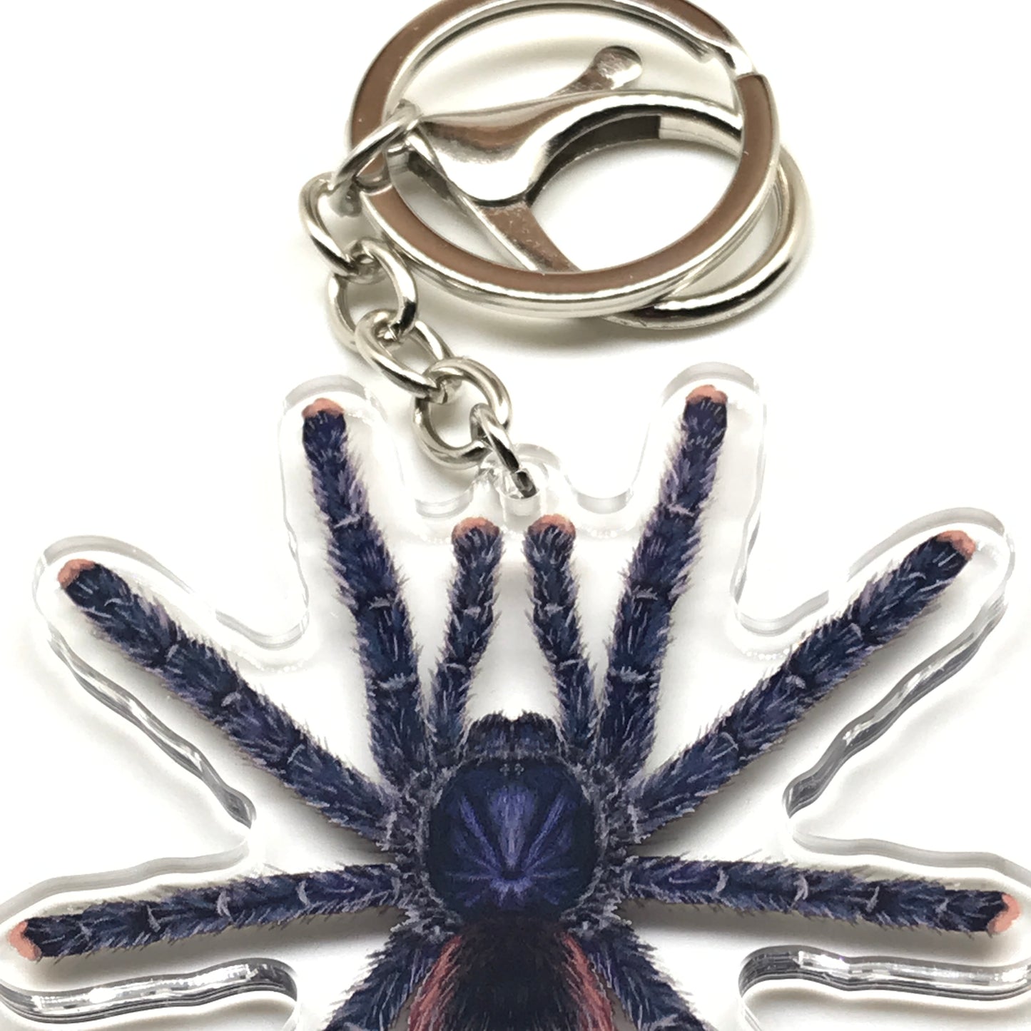 Peruvian Pinktoe Tarantula keychain featuring Avicularia juruensis acrylic charm, showcasing vibrant pink toes and detailed arachnid design.