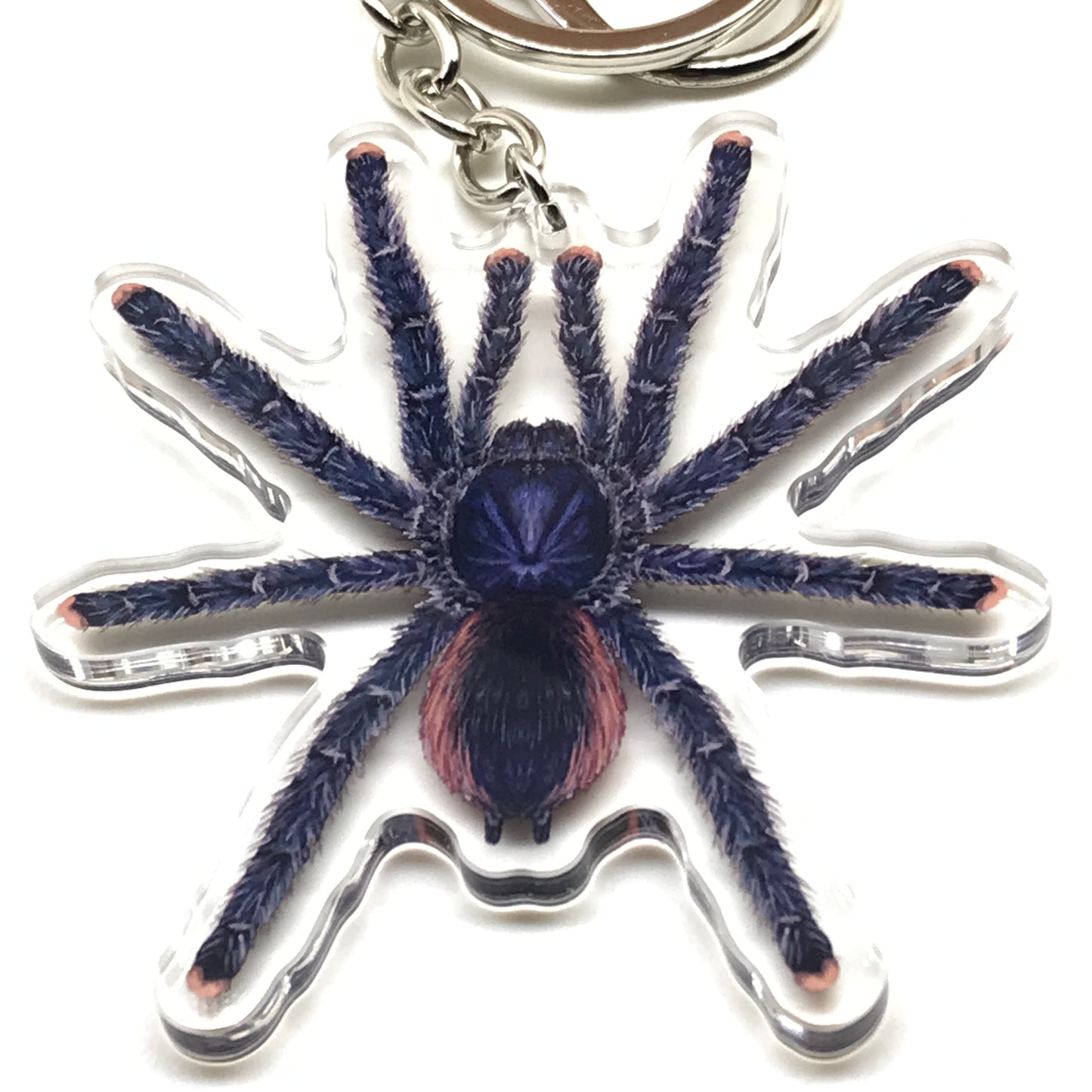 Peruvian Pinktoe Tarantula keychain acrylic charm featuring Avicularia juruensis, showcasing vibrant pink toes and detailed spider design.