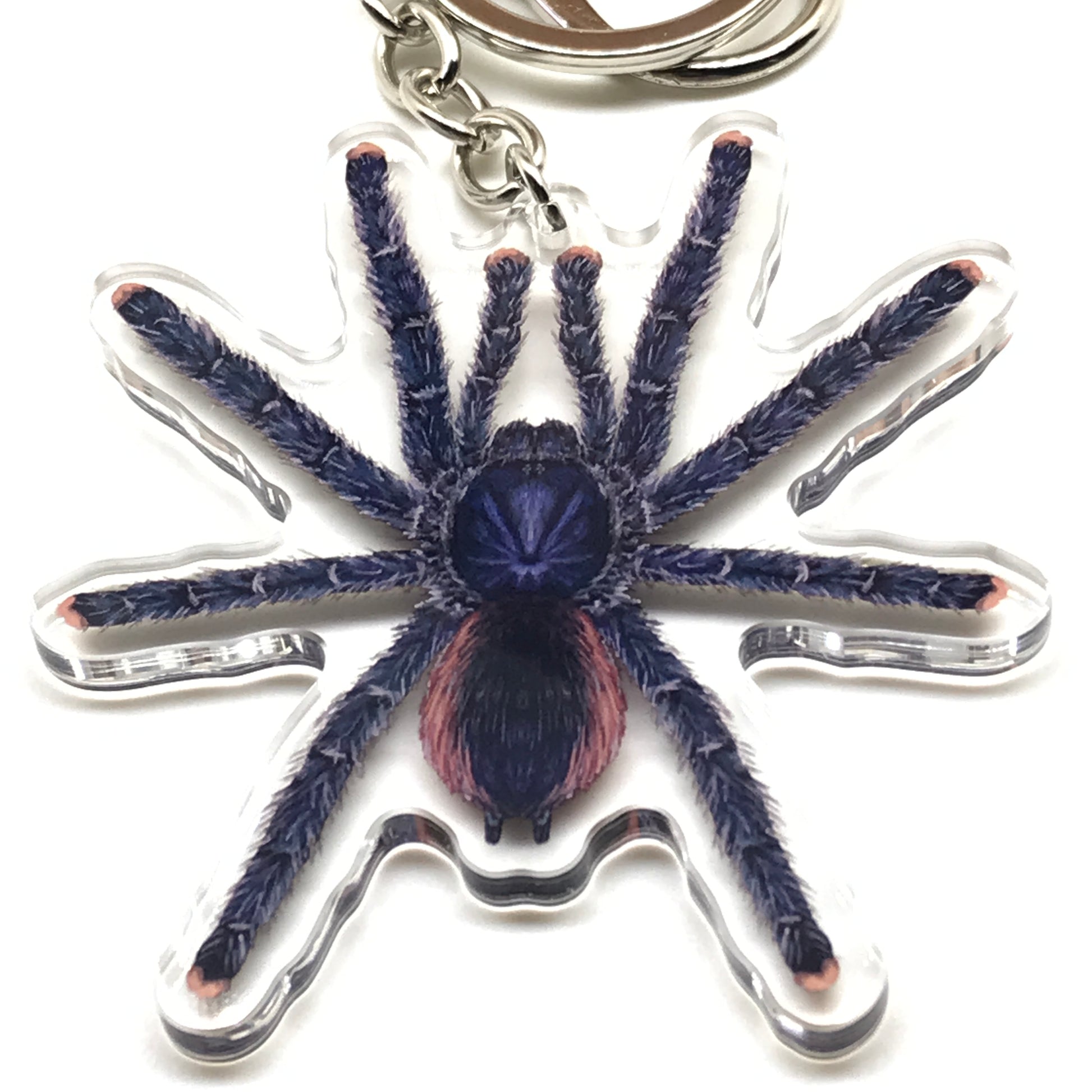 Peruvian Pinktoe Tarantula keychain acrylic charm featuring Avicularia juruensis, showcasing vibrant pink toes and detailed spider design.