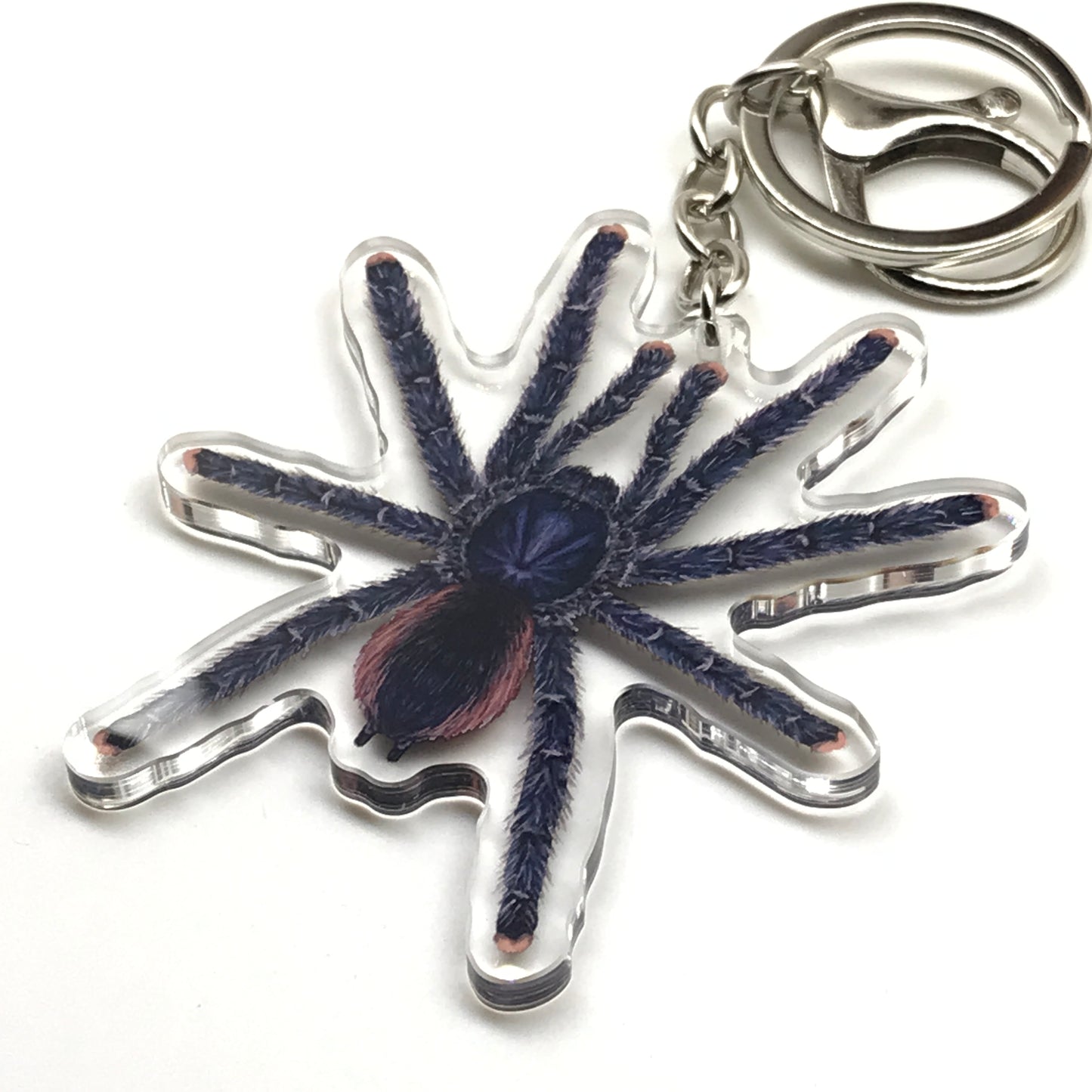 Peruvian Pinktoe Tarantula keychain featuring Avicularia juruensis acrylic charm with pink toes and detailed spider design.