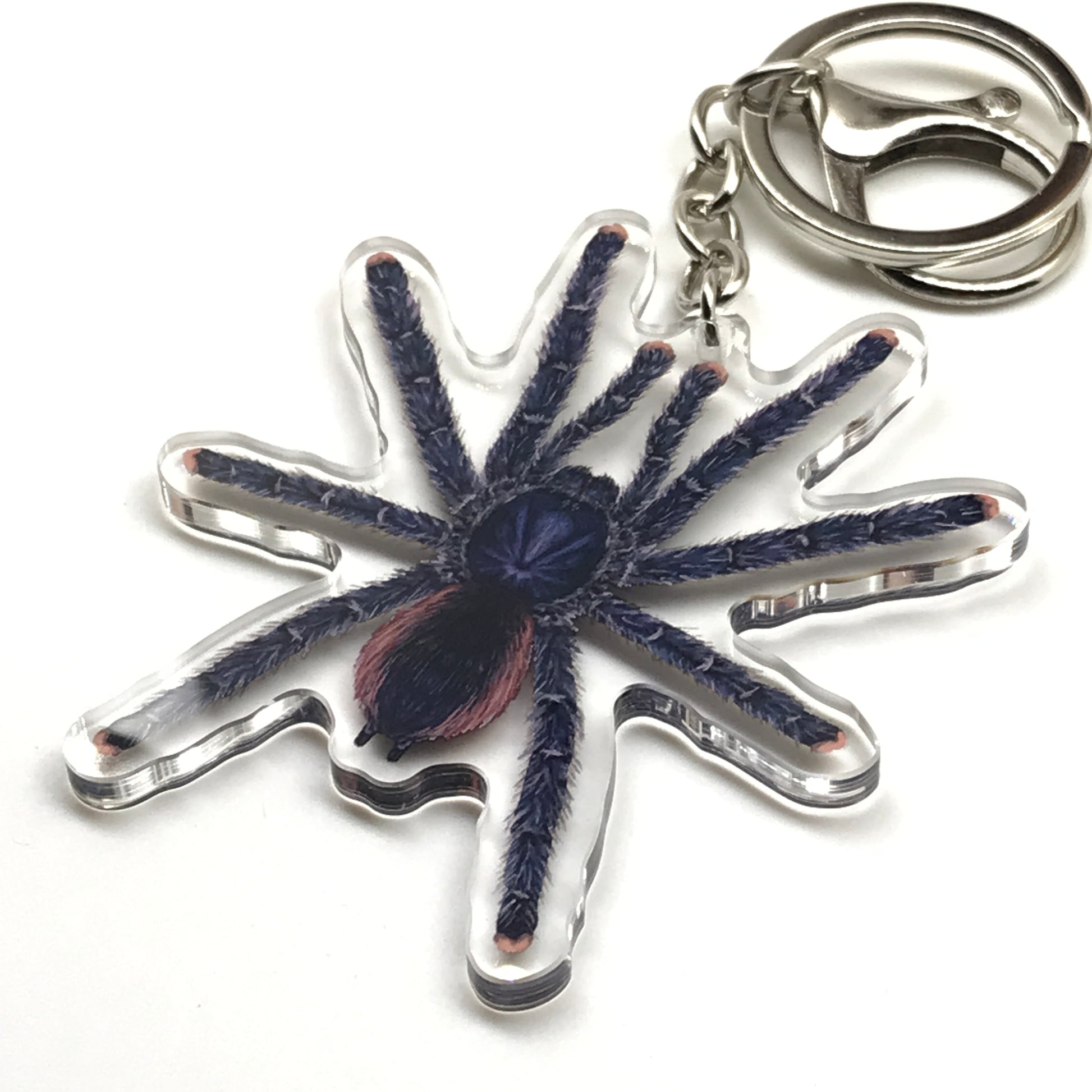 Peruvian Pinktoe Tarantula keychain featuring Avicularia juruensis acrylic charm with pink toes and detailed spider design.