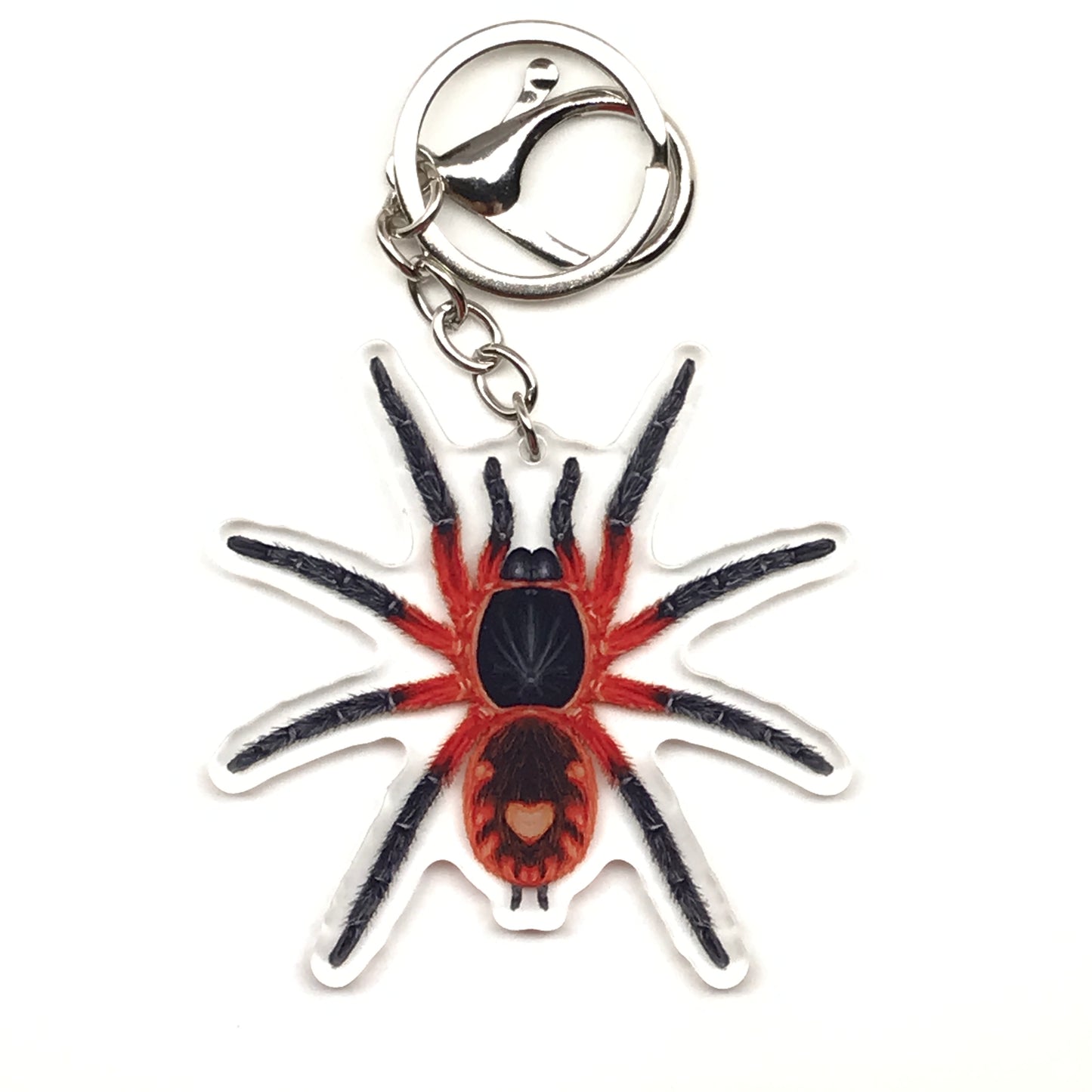Acrylic keychain featuring a realistic Lava Tarantula Davus Sp. Panama design from The Silk Ranch, detailed and vibrant.