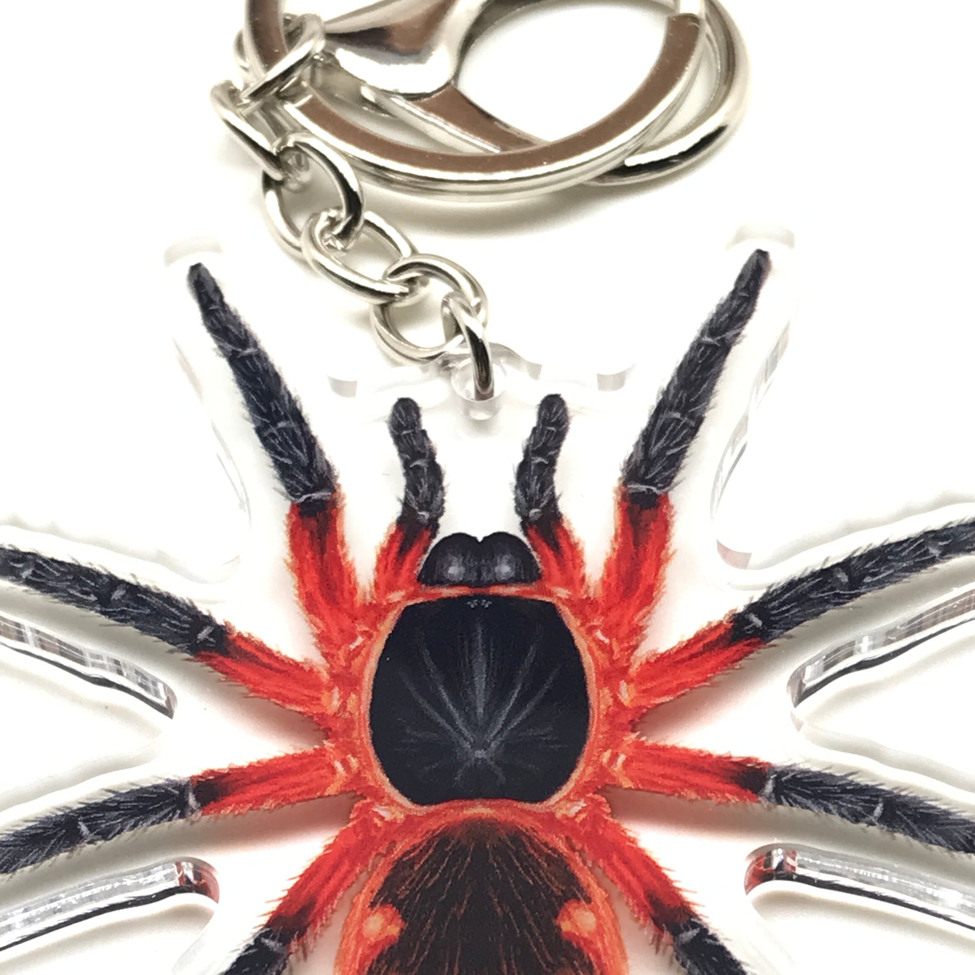 Acrylic keychain featuring a detailed lava tarantula Davus sp. Panama design from The Silk Ranch, hanging from a metal keyring.