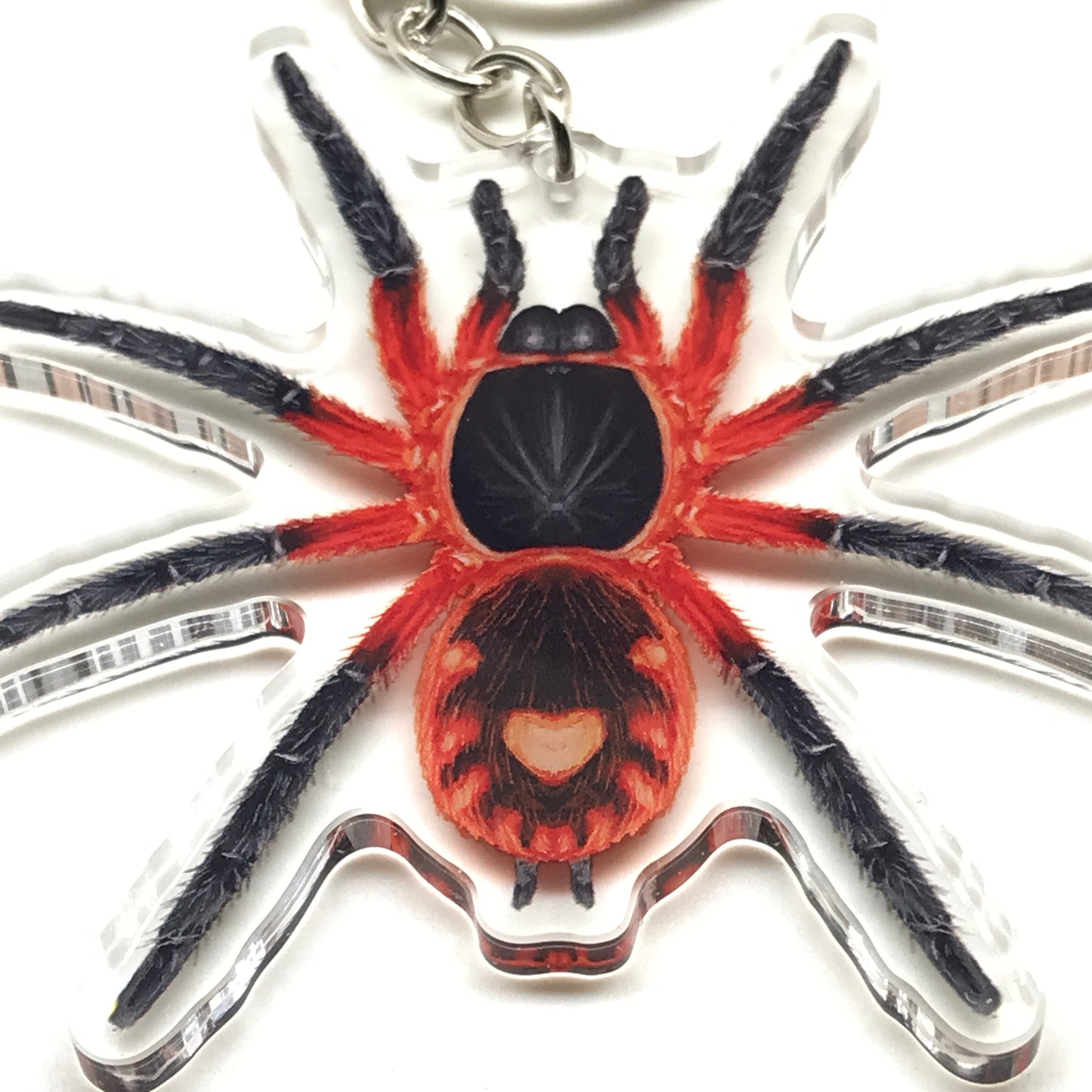 Acrylic charm keychain featuring a detailed Lava Tarantula Davus sp. Panama design, hanging from a metal keyring.