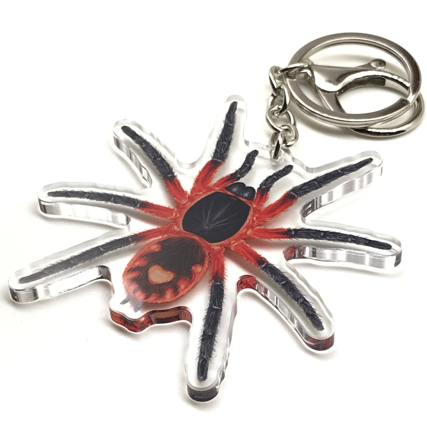 Lava tarantula keychain featuring Davus sp. Panama acrylic charm on a silver keyring, decorative and detailed reptile accessory.