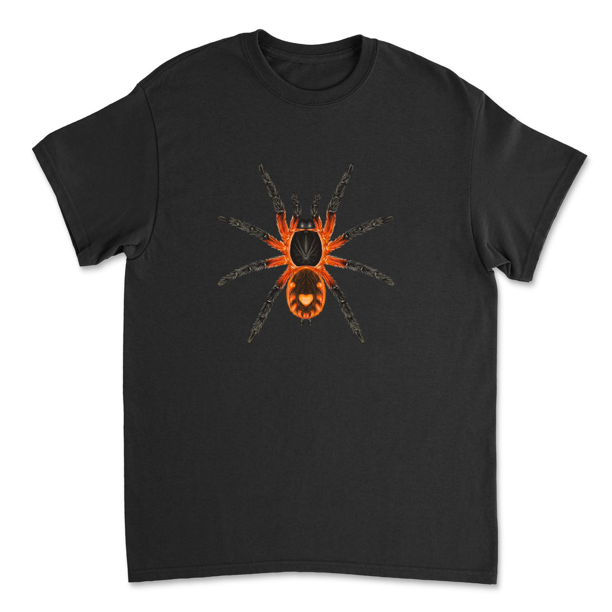 Mingo Art Lava Tarantula Davus sp. Panama art design T-shirt featuring a detailed illustration of a tarantula on the front.