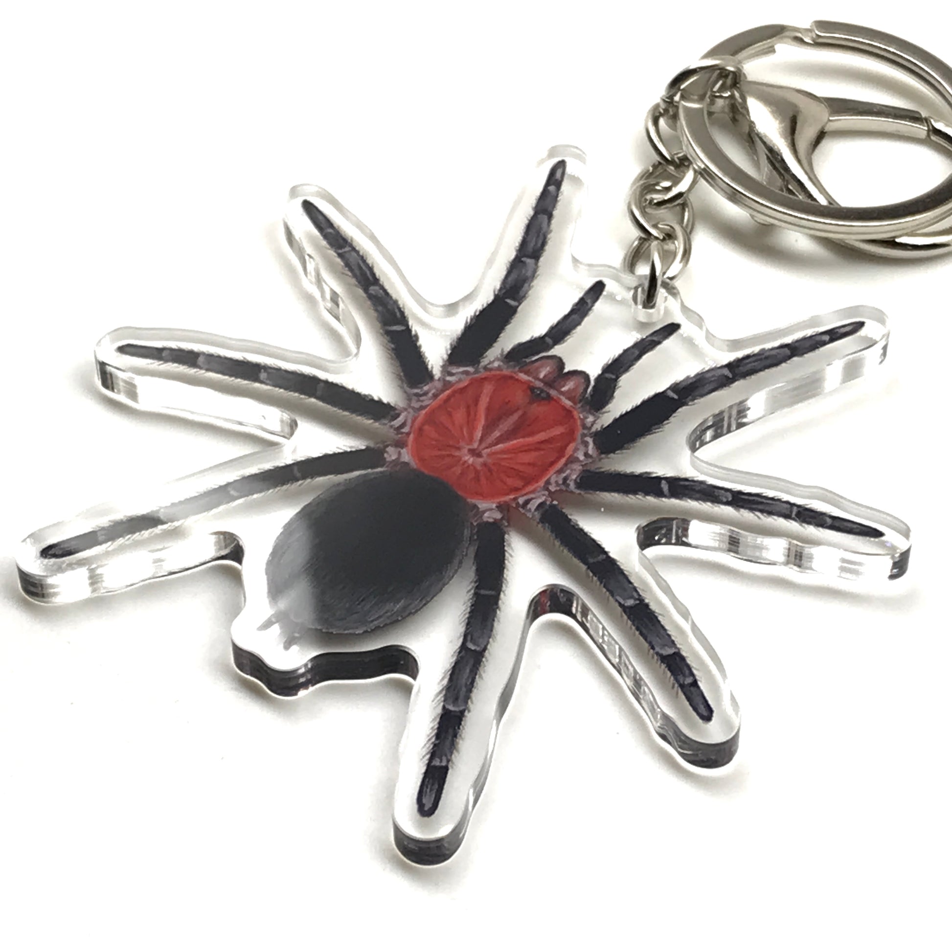 Brazilian Redhead Tarantula keychain by The Silk Ranch, acrylic charm featuring realistic red tarantula design.