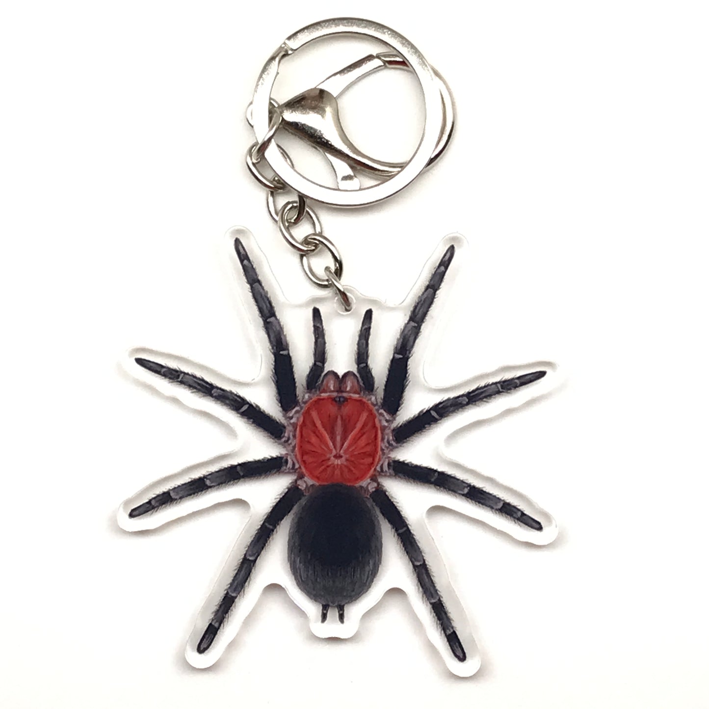 Brazilian Redhead Tarantula keychain acrylic charm featuring Bumba Horrida spider from The Silk Ranch.