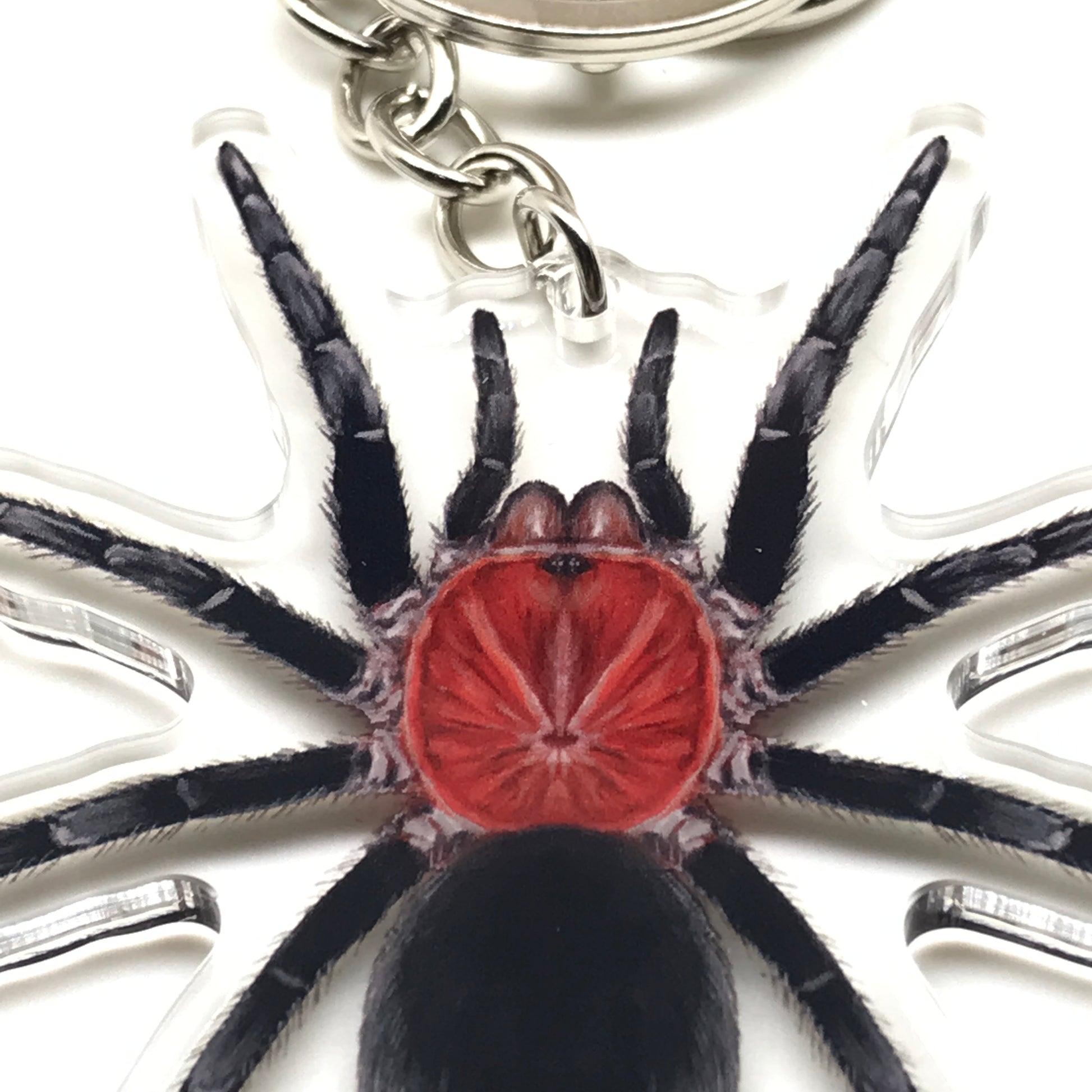 Brazilian Redhead Tarantula keychain by The Silk Ranch featuring a detailed acrylic charm of a Bumba Horrida tarantula.