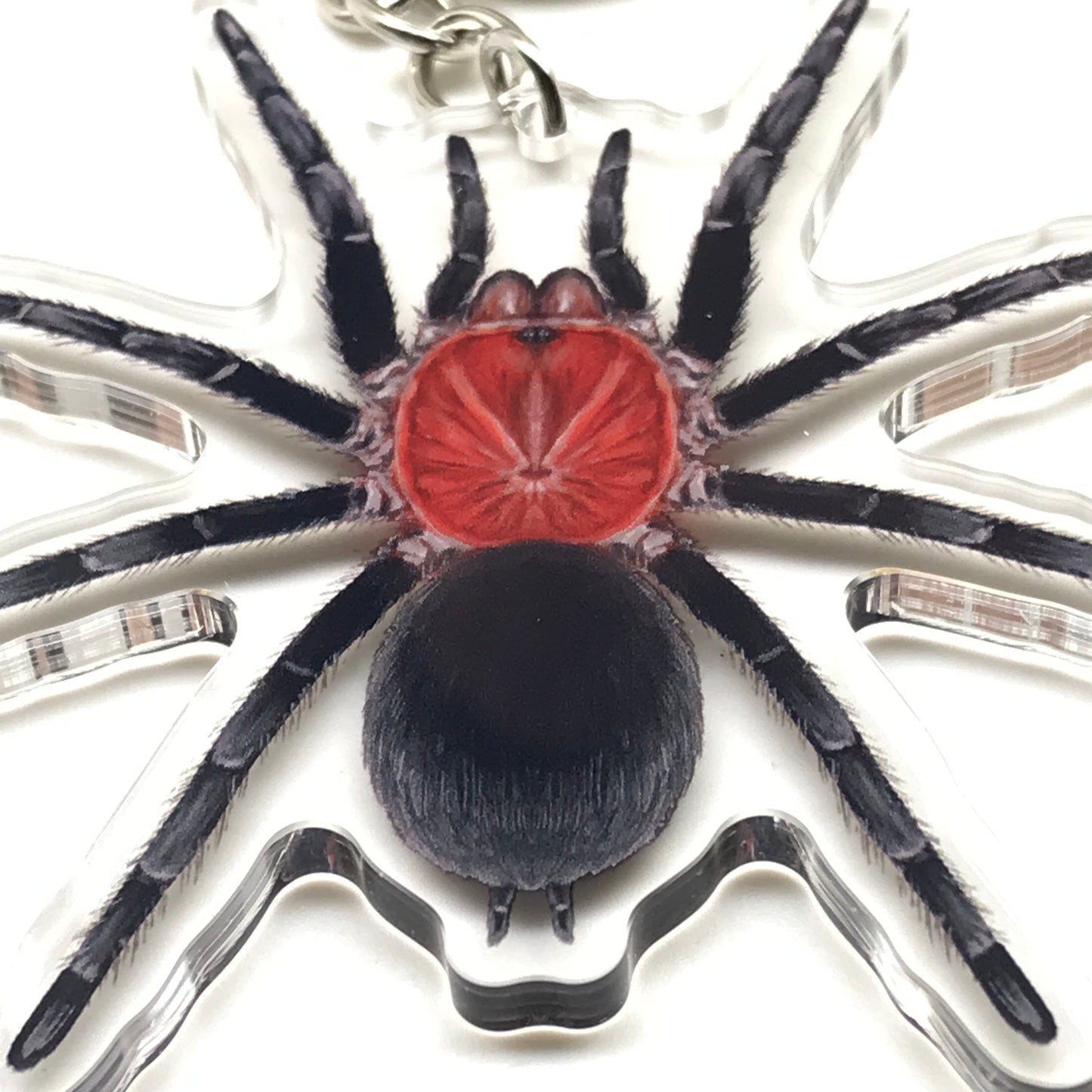 Brazilian Redhead Tarantula keychain by The Silk Ranch featuring a detailed acrylic charm of a Bumba Horrida tarantula.