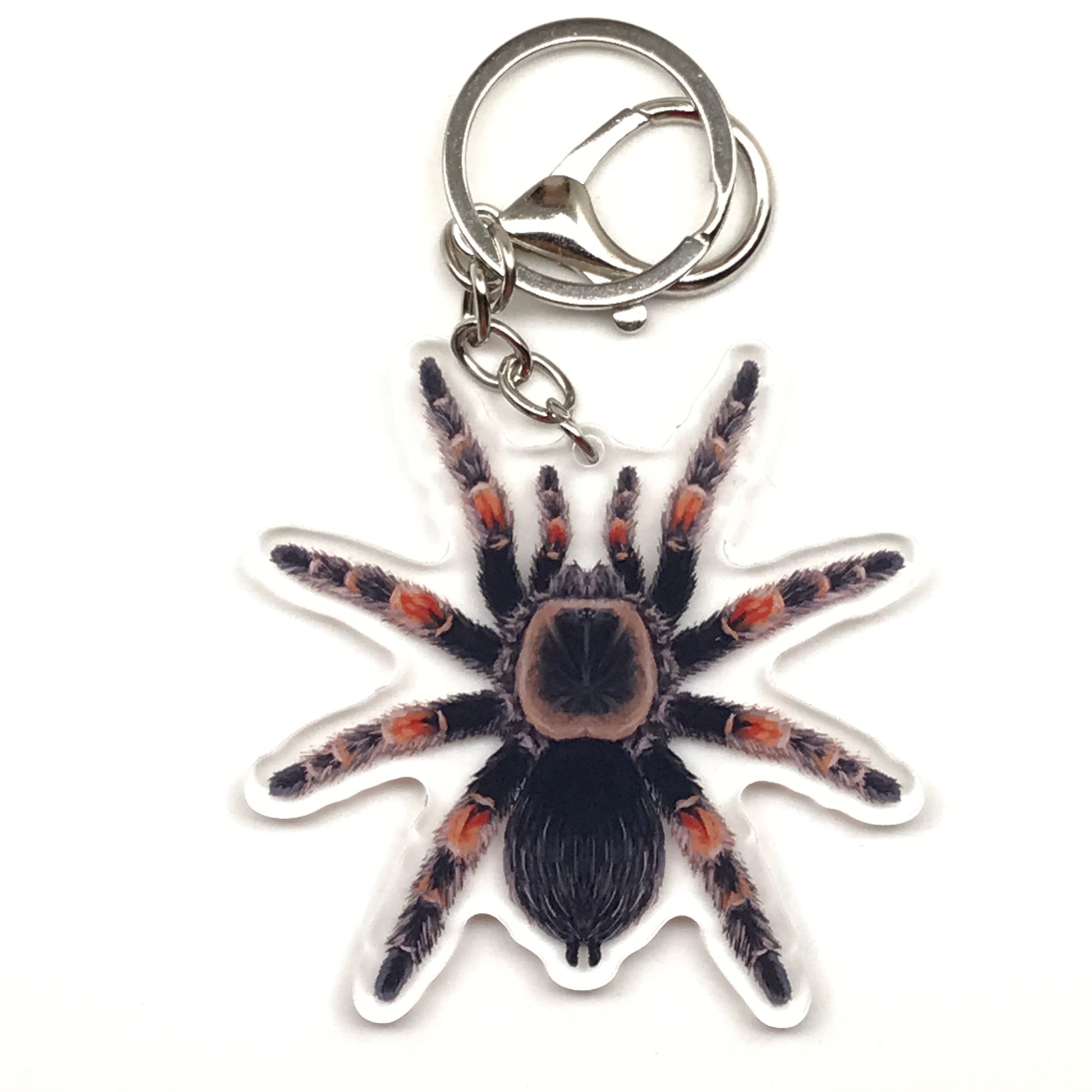 Mexican Red Knee Tarantula keychain featuring Brachypelma hamorii acrylic charm with detailed red and black coloring.