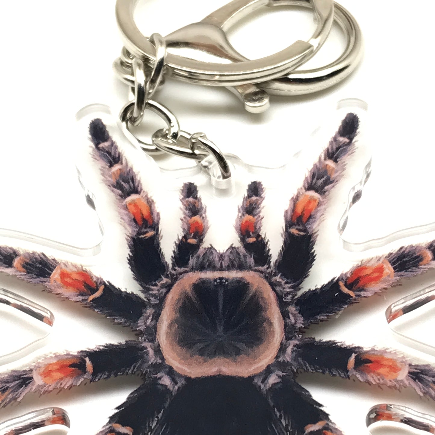 Mexican Red Knee Tarantula keychain with acrylic charm featuring Brachypelma hamorii, vibrant red and black spider design.