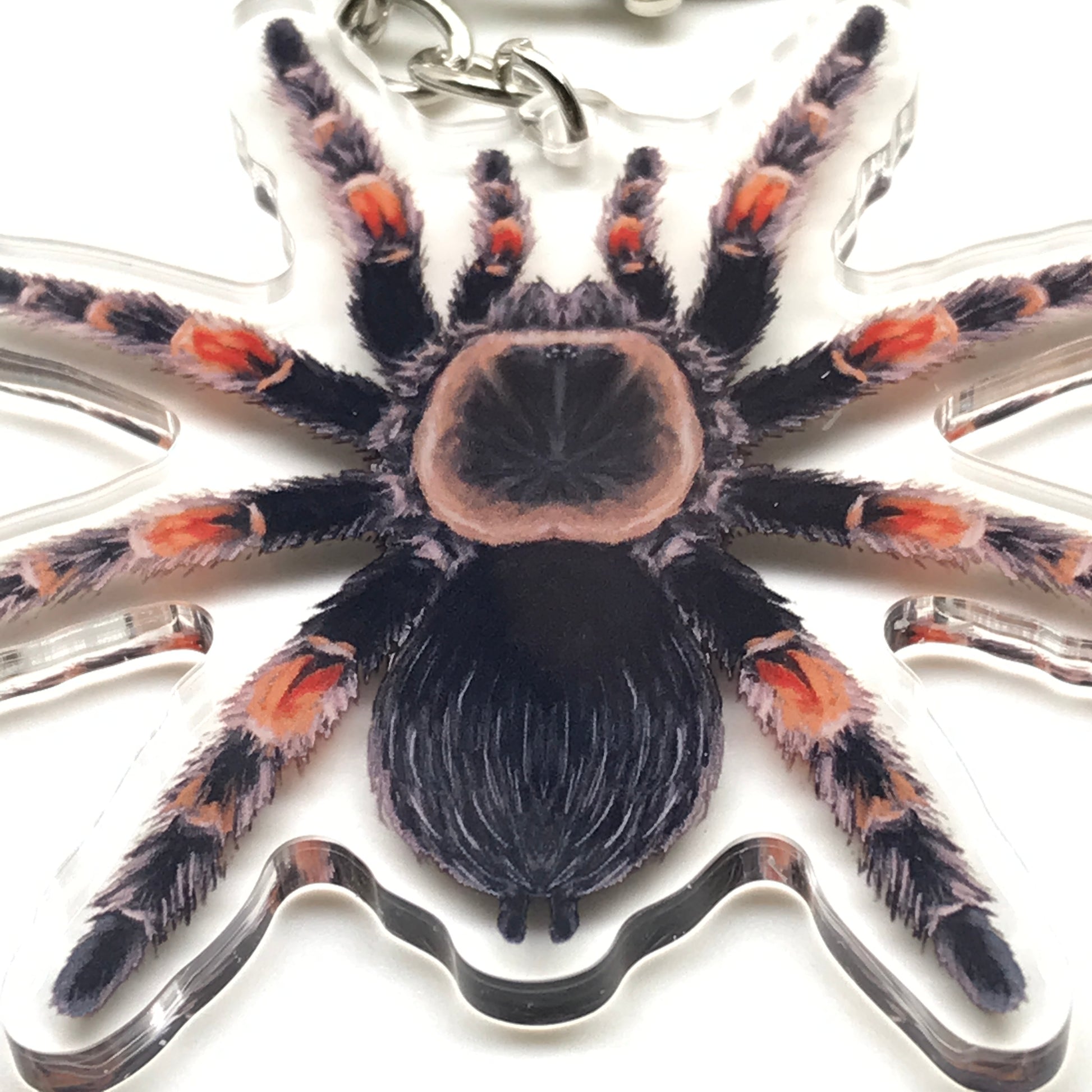 Mexican Red Knee Tarantula Brachypelma Hamorii acrylic keychain charm with detailed red and black spider design.