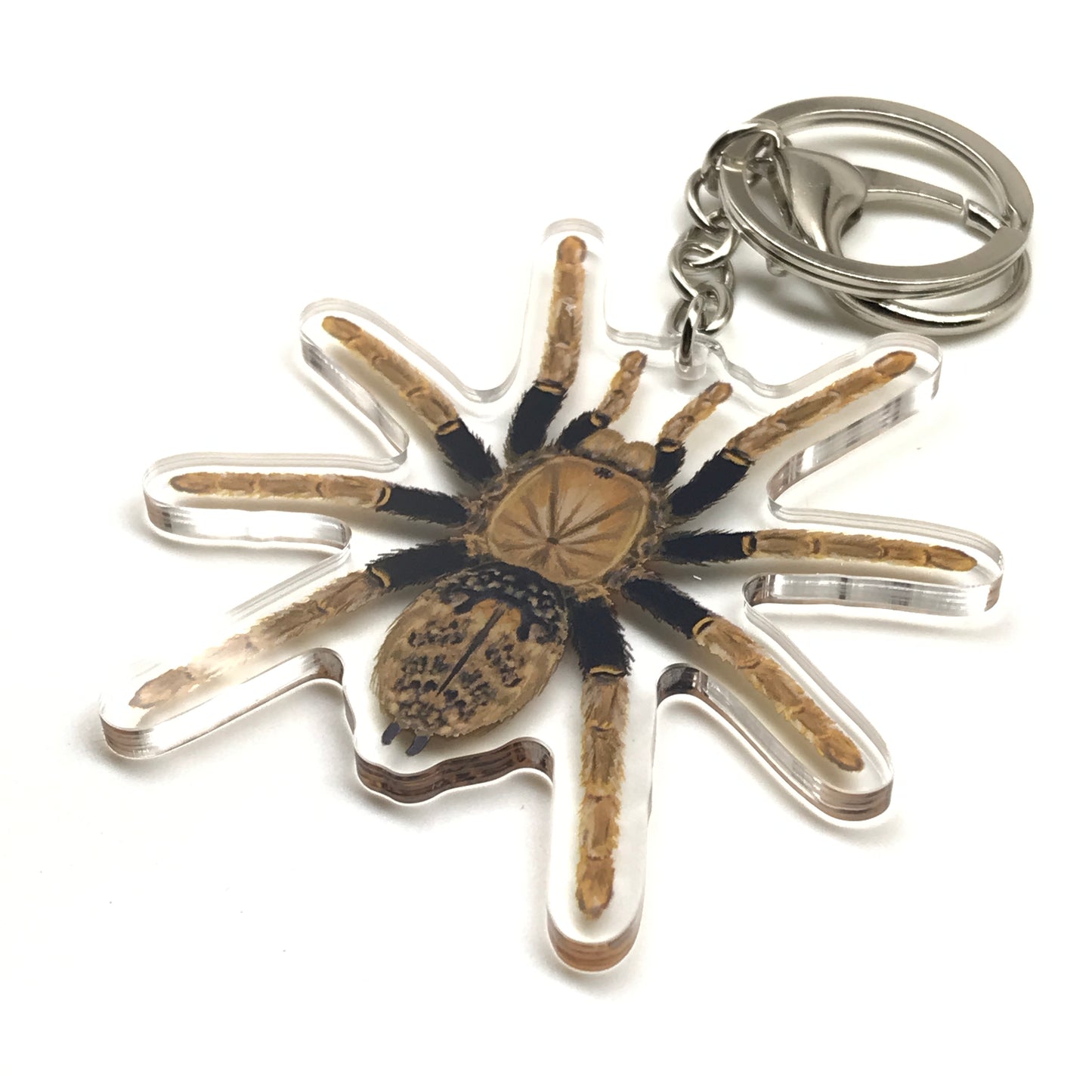 Tanzanian Black and Olive Tarantula Encyocratella Olivacea acrylic keychain with detailed spider charm, from The Silk Ranch.