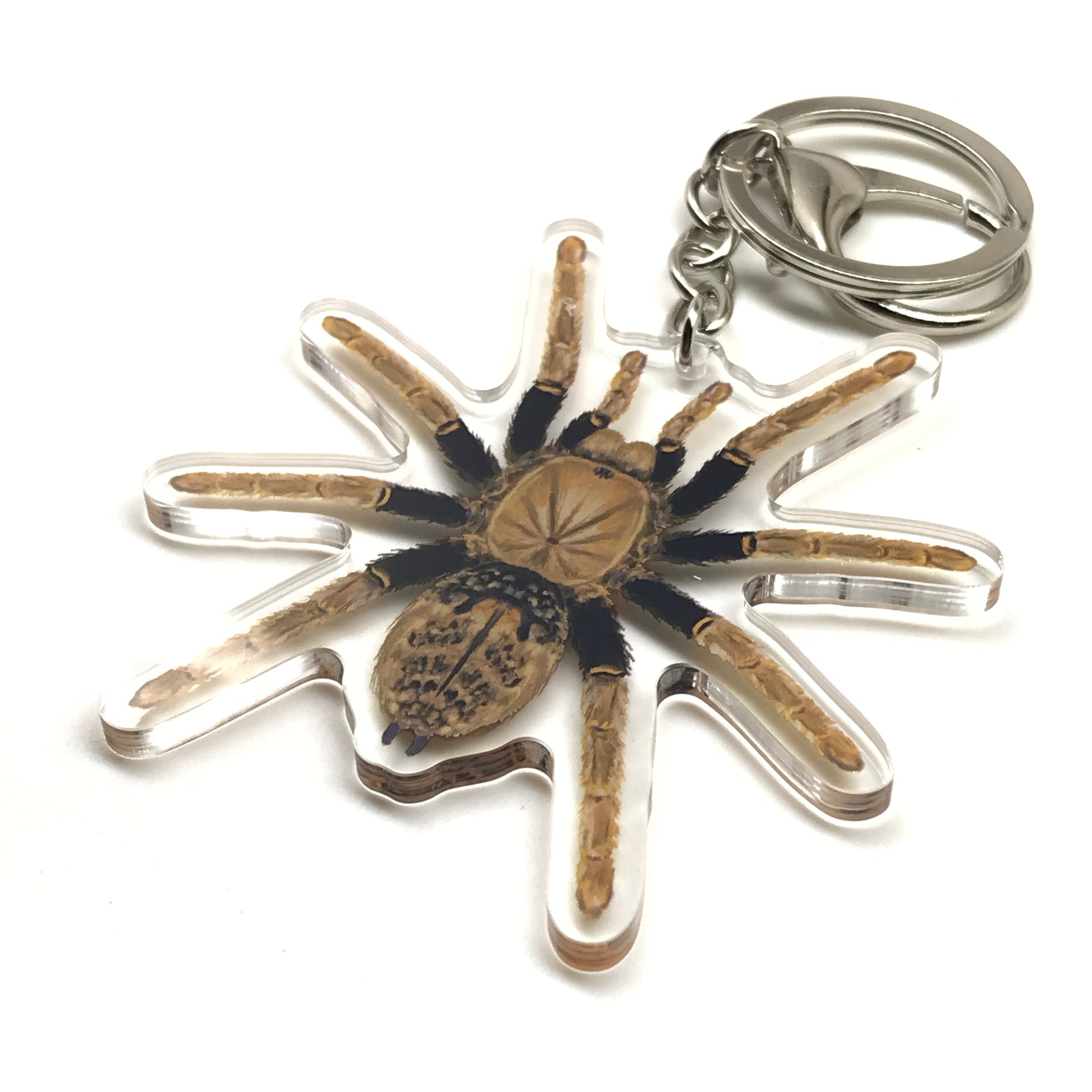Tanzanian Black and Olive Tarantula Encyocratella Olivacea acrylic keychain with detailed spider charm, from The Silk Ranch.