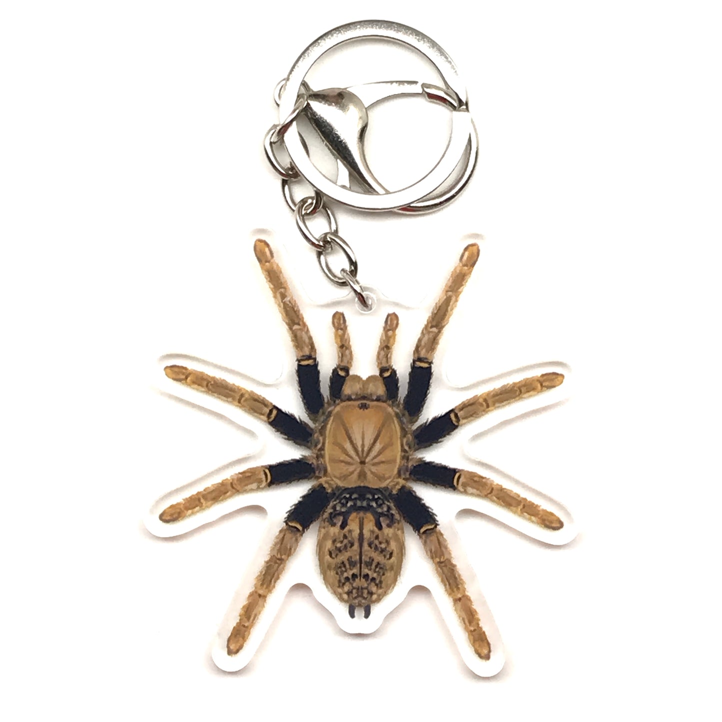 Tanzanian Black and Olive Tarantula Encyocratella Olivacea acrylic keychain charm with detailed spider design.