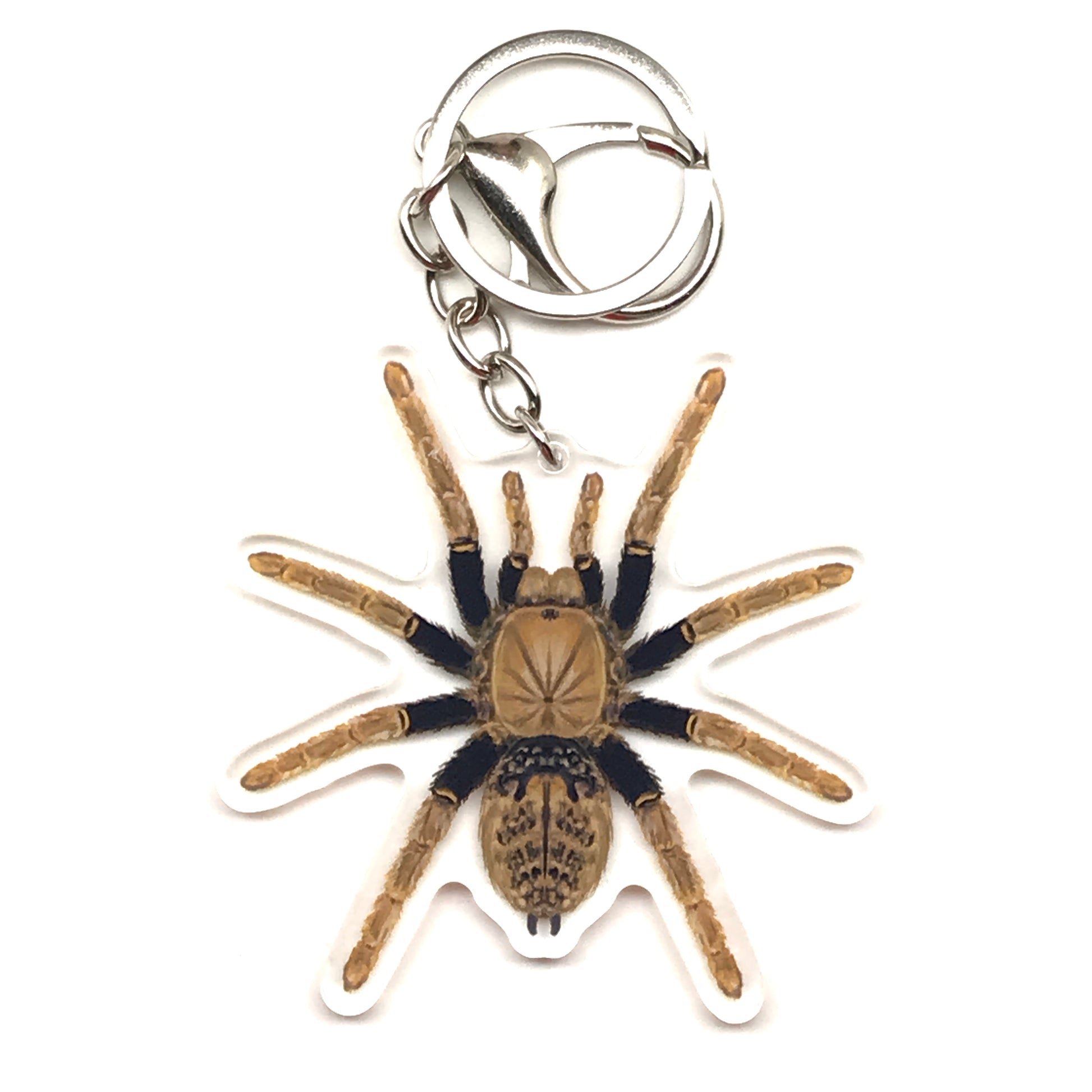Tanzanian Black and Olive Tarantula Encyocratella Olivacea acrylic keychain charm with detailed spider design.