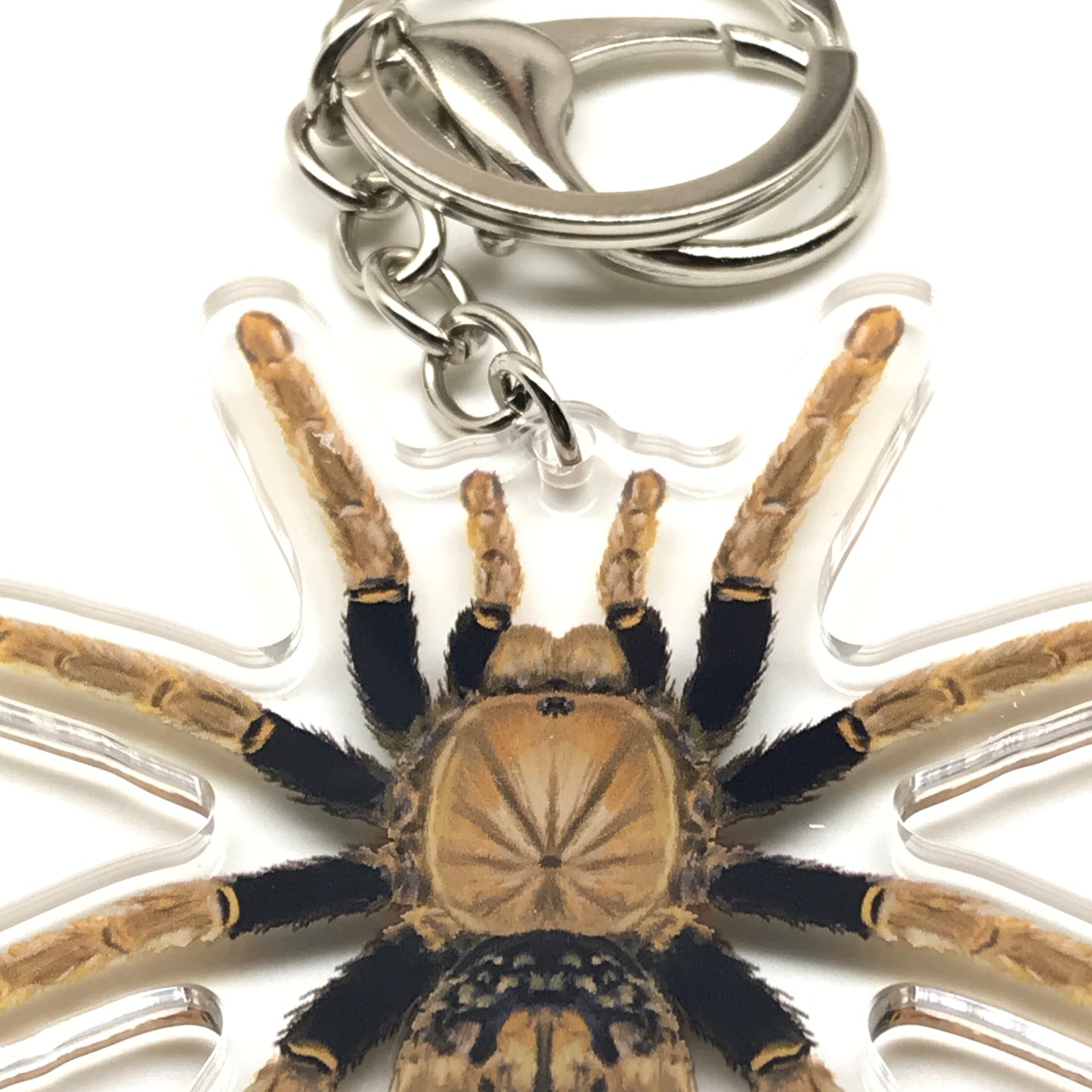 Tanzanian Black and Olive Tarantula keychain charm featuring acrylic Encyocratella olivacea spider design.