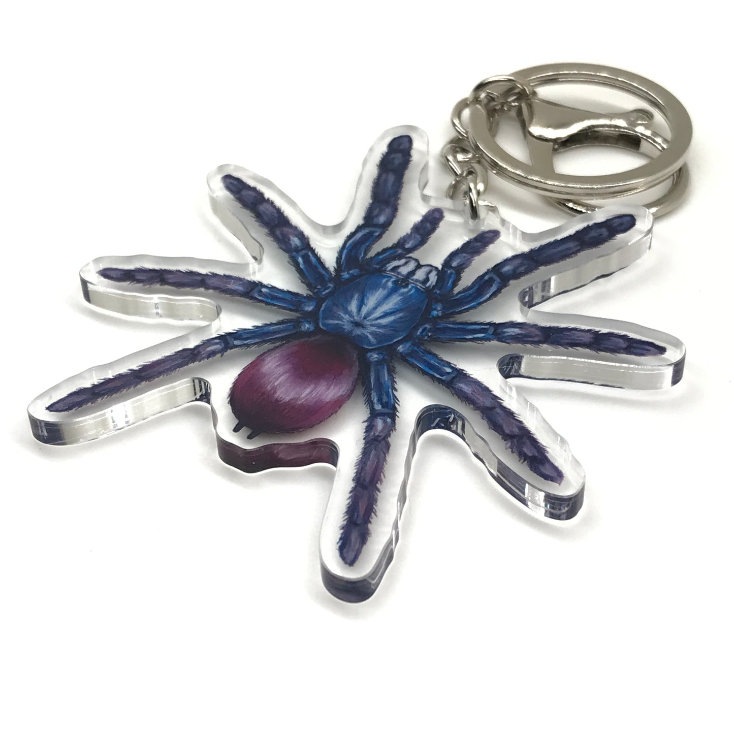 Indian Rainbow Tarantula keychain featuring Chilobrachys Devamatha acrylic charm, vibrant colors and detailed spider design.