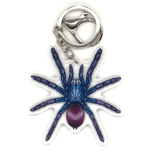 Indian Rainbow Tarantula Keychain, Chilobrachys Devamatha Acrylic Charm from The Silk Ranch