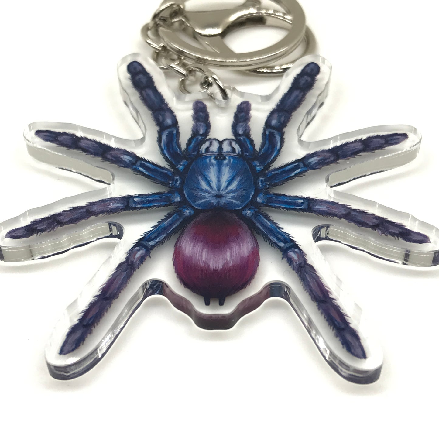 Indian Rainbow Tarantula keychain by The Silk Ranch featuring a colorful acrylic charm of Chilobrachys Devamatha spider.