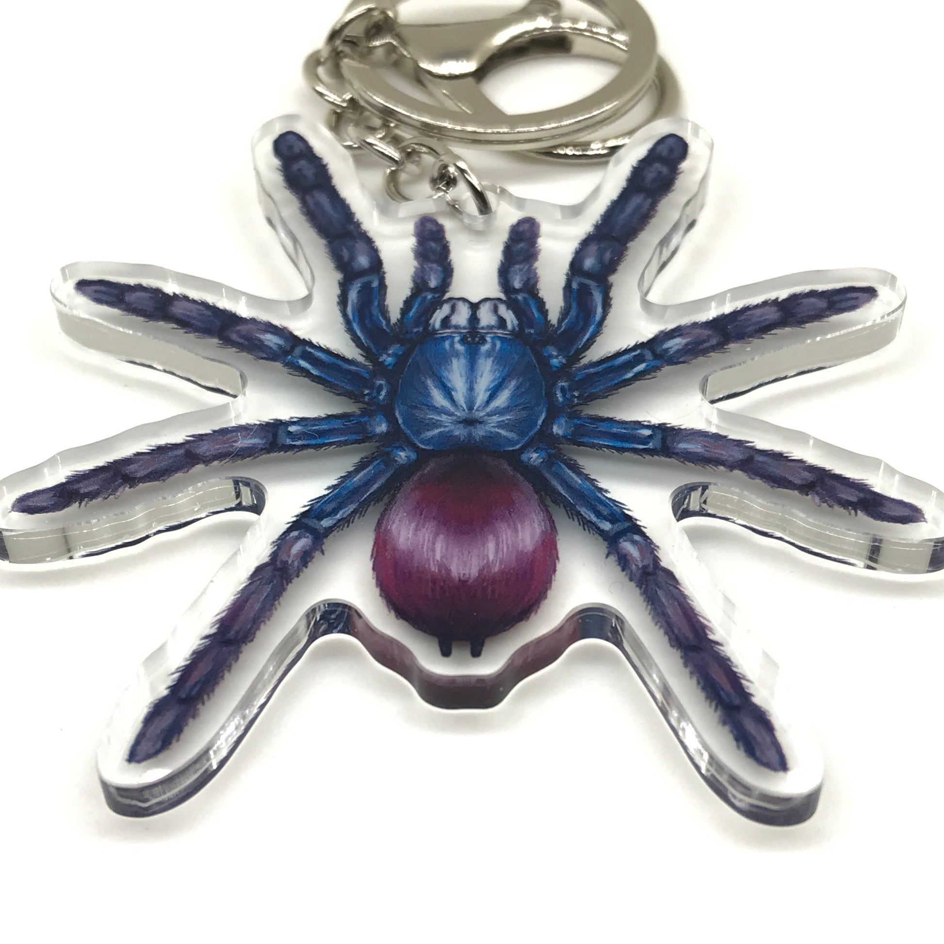 Indian Rainbow Tarantula keychain by The Silk Ranch featuring a colorful acrylic charm of Chilobrachys Devamatha spider.