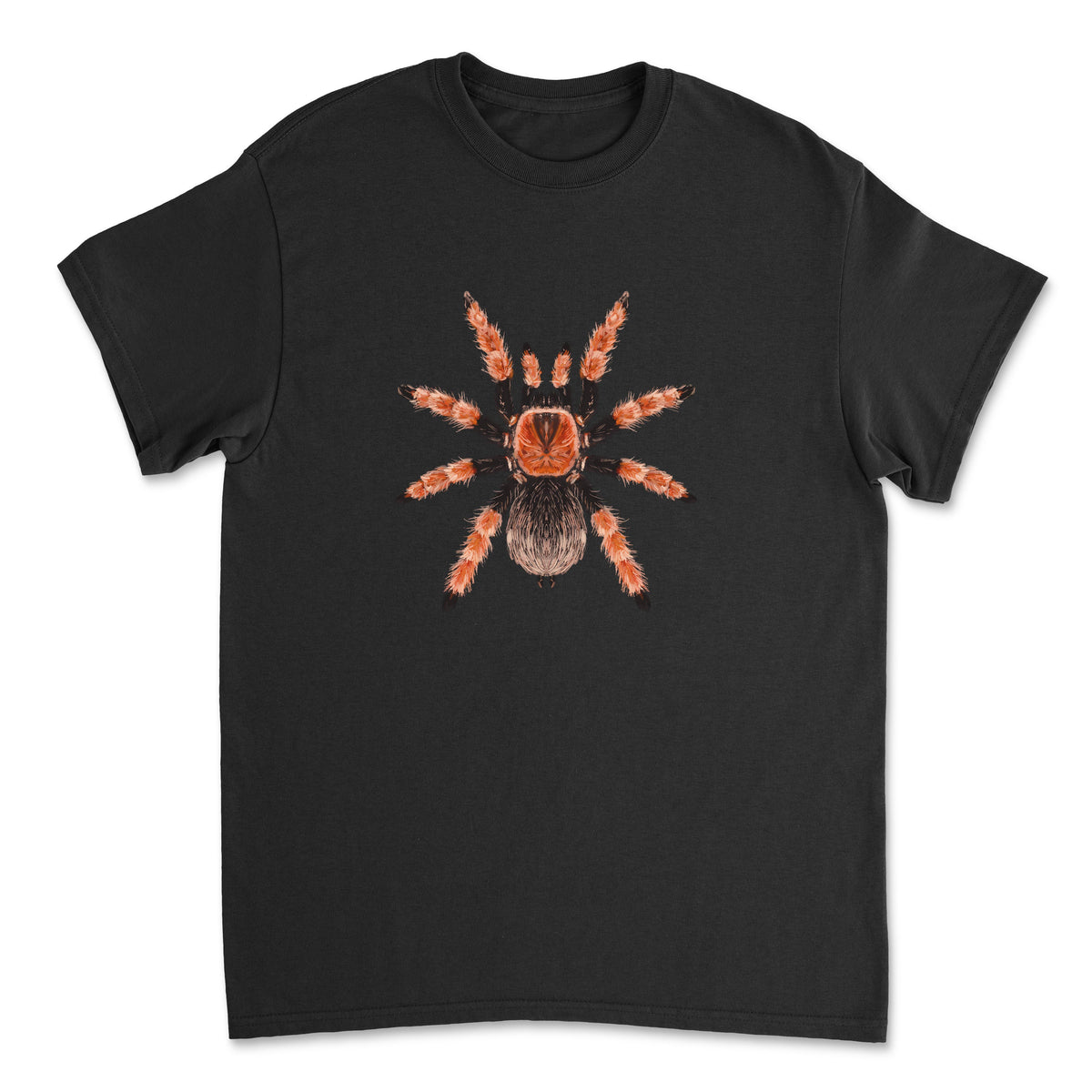 Mexican Fire Leg Tarantula Brachypelma boehmei art T-shirt featuring detailed spider illustration on a Gildan T-shirt.