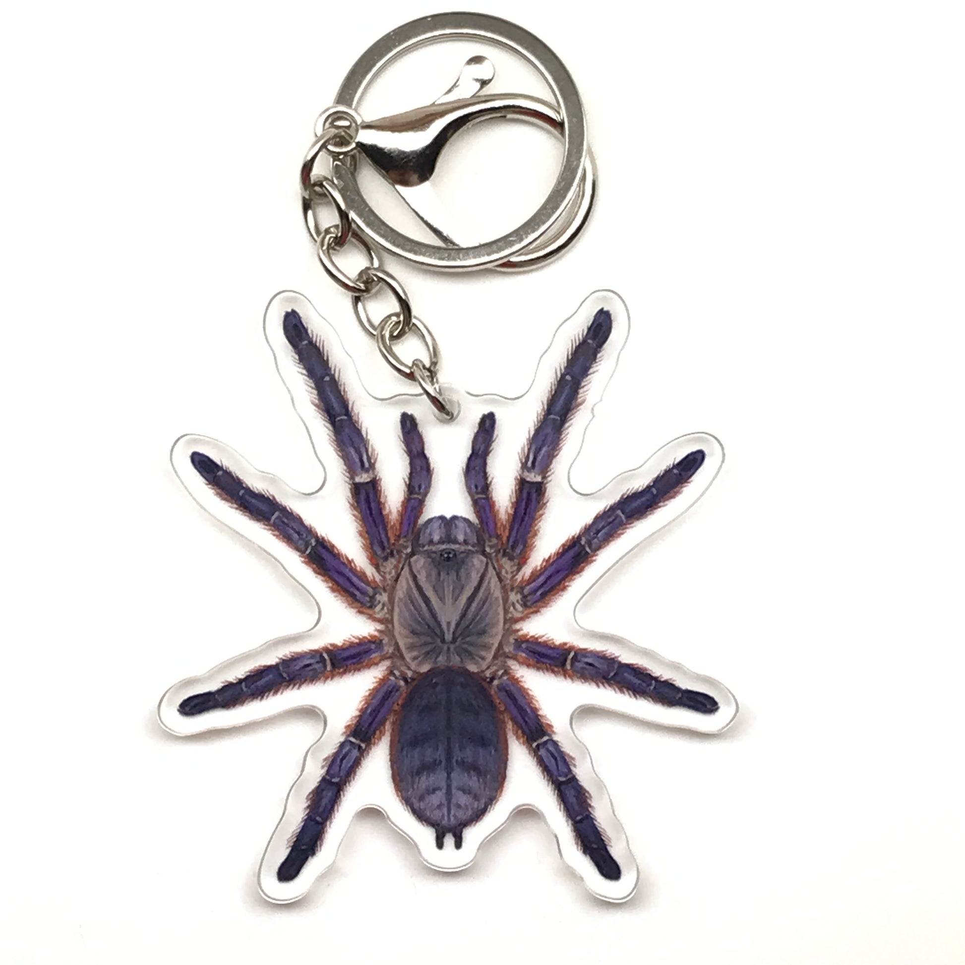 Purple Blaze Tree Tarantula Keychain, Ornithoctoninae Sp. Phan Cay Red Acrylic Charm from The Silk Ranch