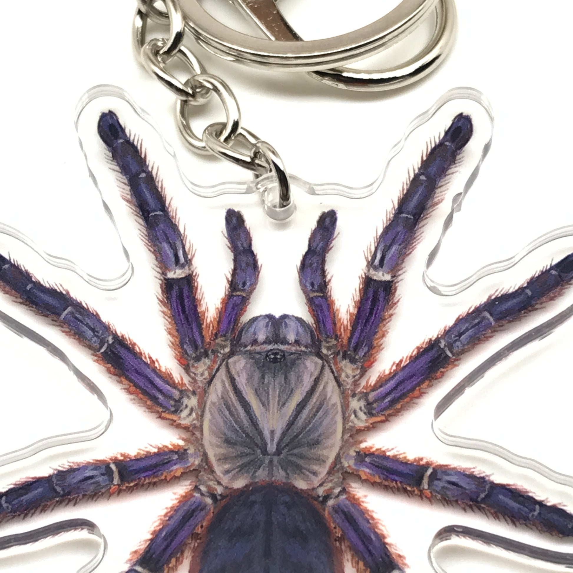 Purple Blaze Tree Tarantula Keychain, Ornithoctoninae Sp. Phan Cay Red Acrylic Charm from The Silk Ranch