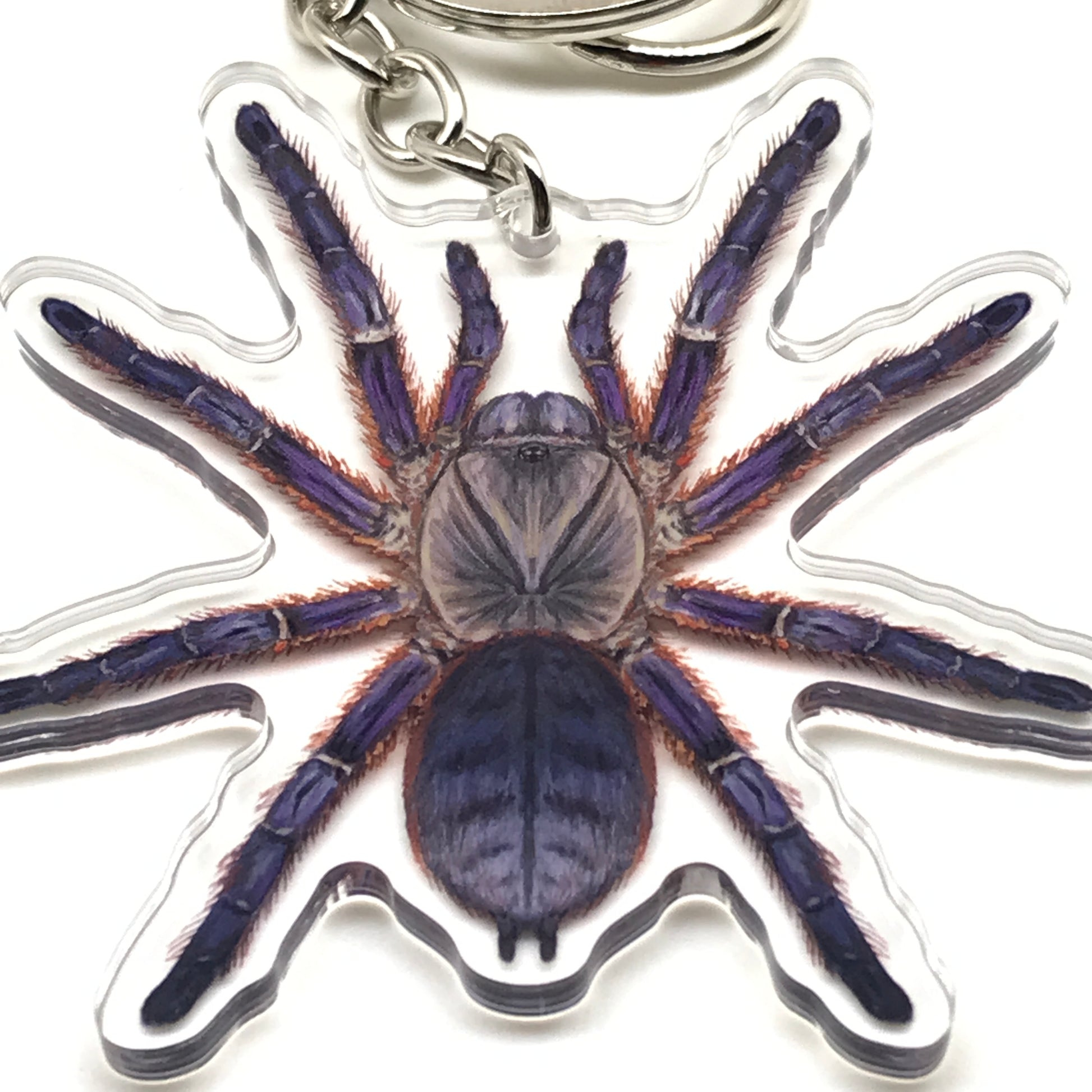 Purple Blaze Tree Tarantula Keychain, Ornithoctoninae Sp. Phan Cay Red Acrylic Charm from The Silk Ranch