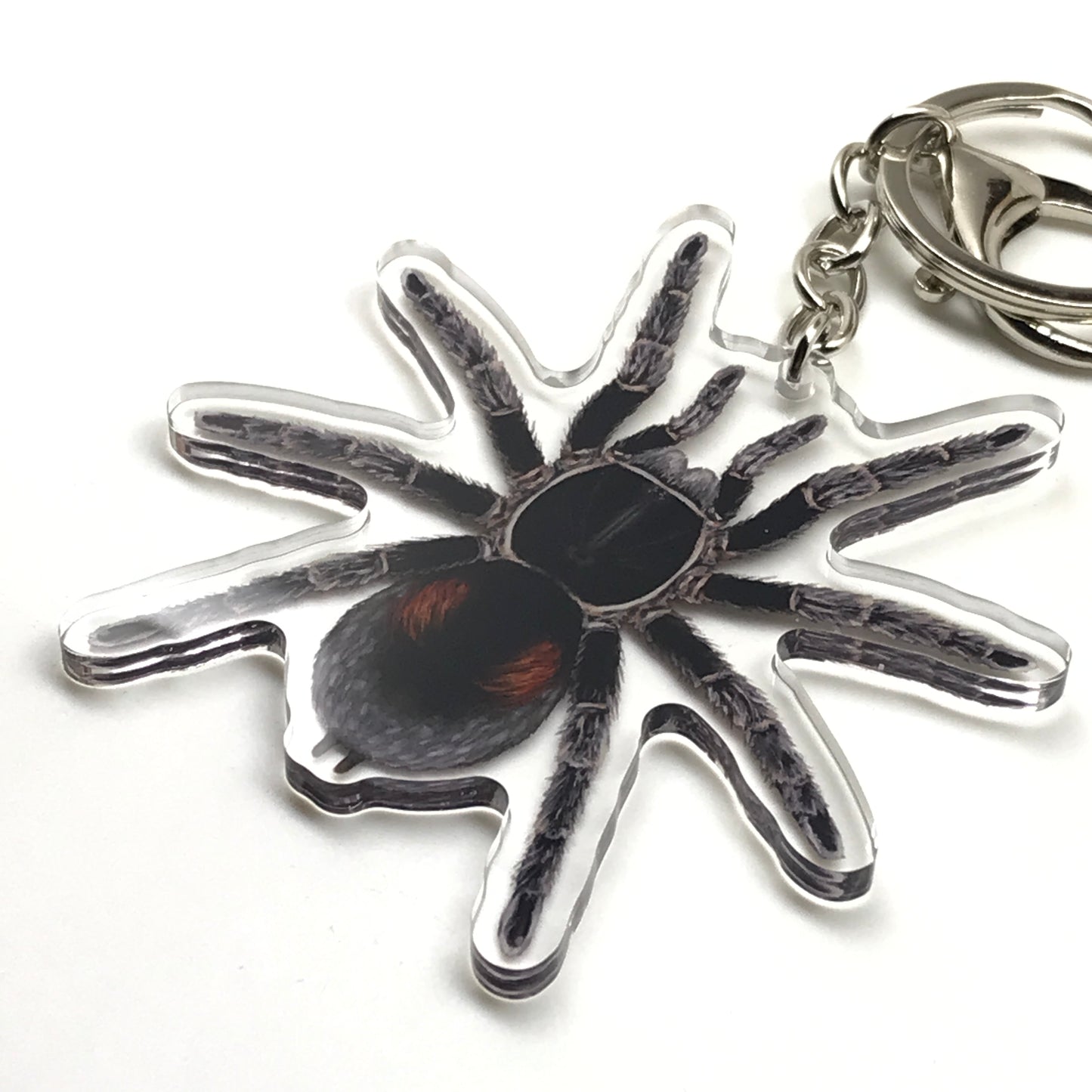 Acrylic keychain featuring a detailed Dwarf Matuskai tarantula charm in red and black, representing the Bistriopelma Matuskai species.