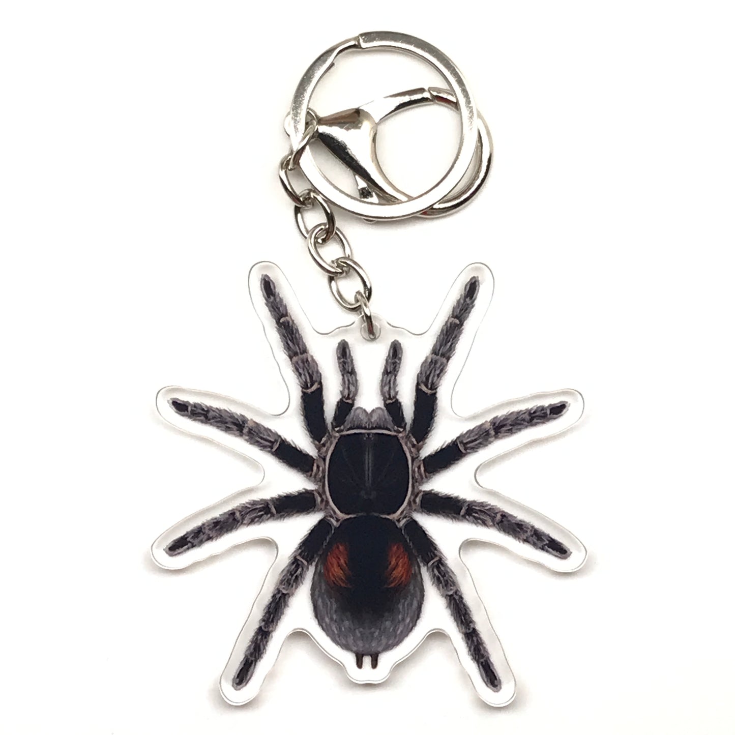 Acrylic keychain featuring a Bistriopelma Matuskai dwarf tarantula charm with detailed black and brown coloring.