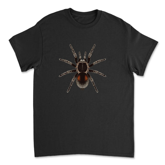 Dwarf Matuskai tarantula art T-shirt featuring detailed illustration of Bistriopelma matuskai spider on a black Gildan shirt.