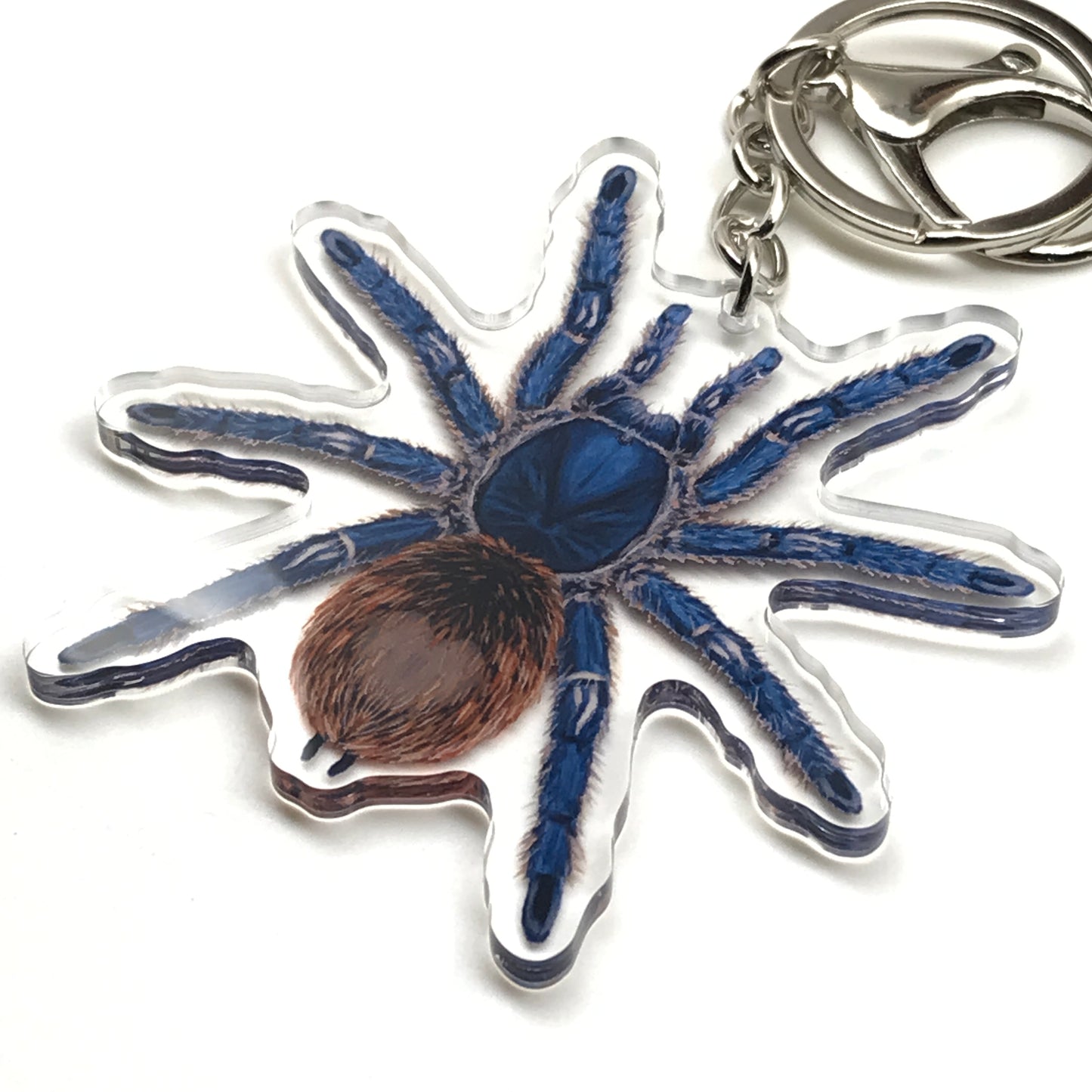 Cobalt Red Rump Tarantula keychain with Ewok Cyaneolum acrylic charm, from The Silk Ranch, showcasing detailed insect design.