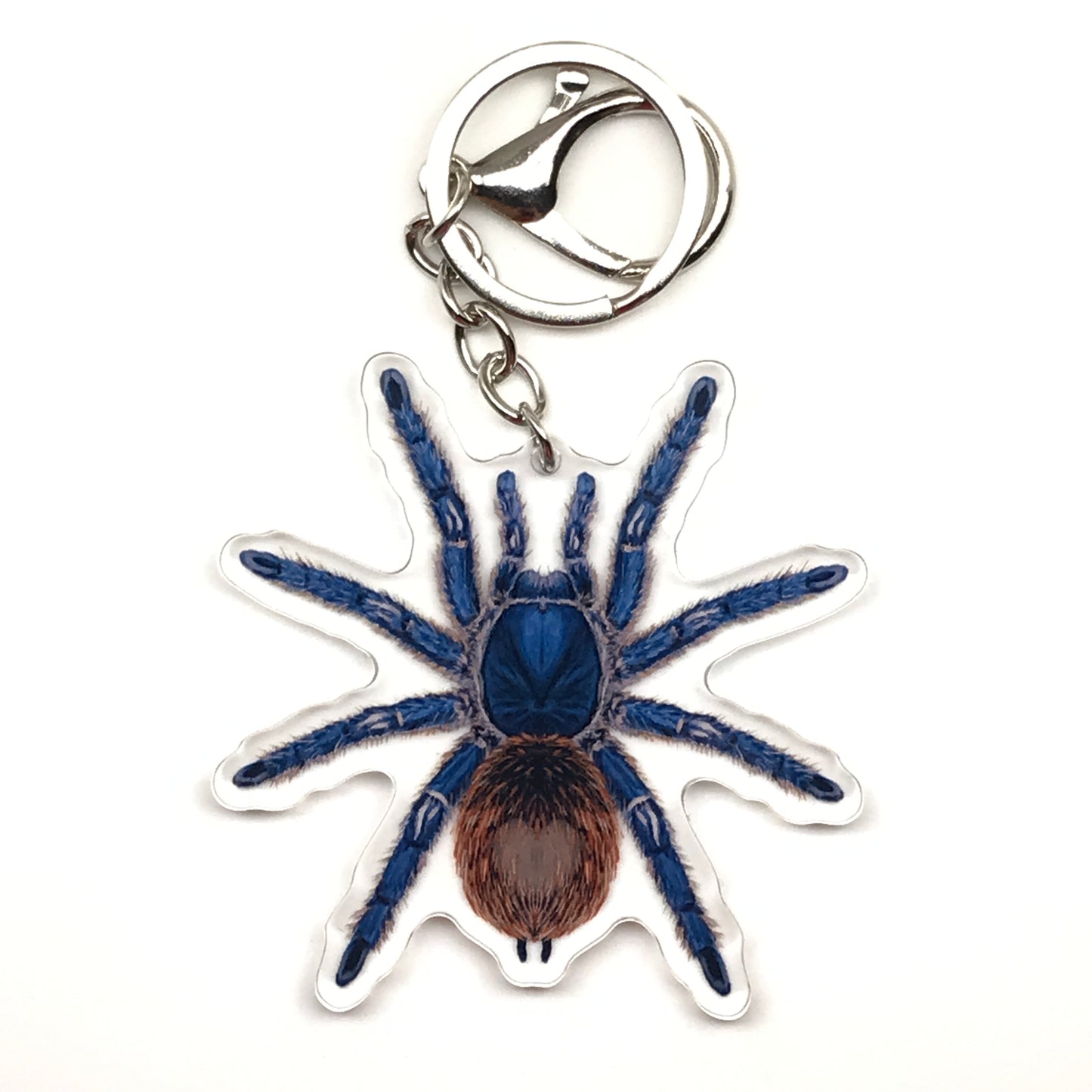 Cobalt red rump tarantula keychain with Ewok Cyaneolum acrylic charm from The Silk Ranch, featuring detailed spider and charm design.