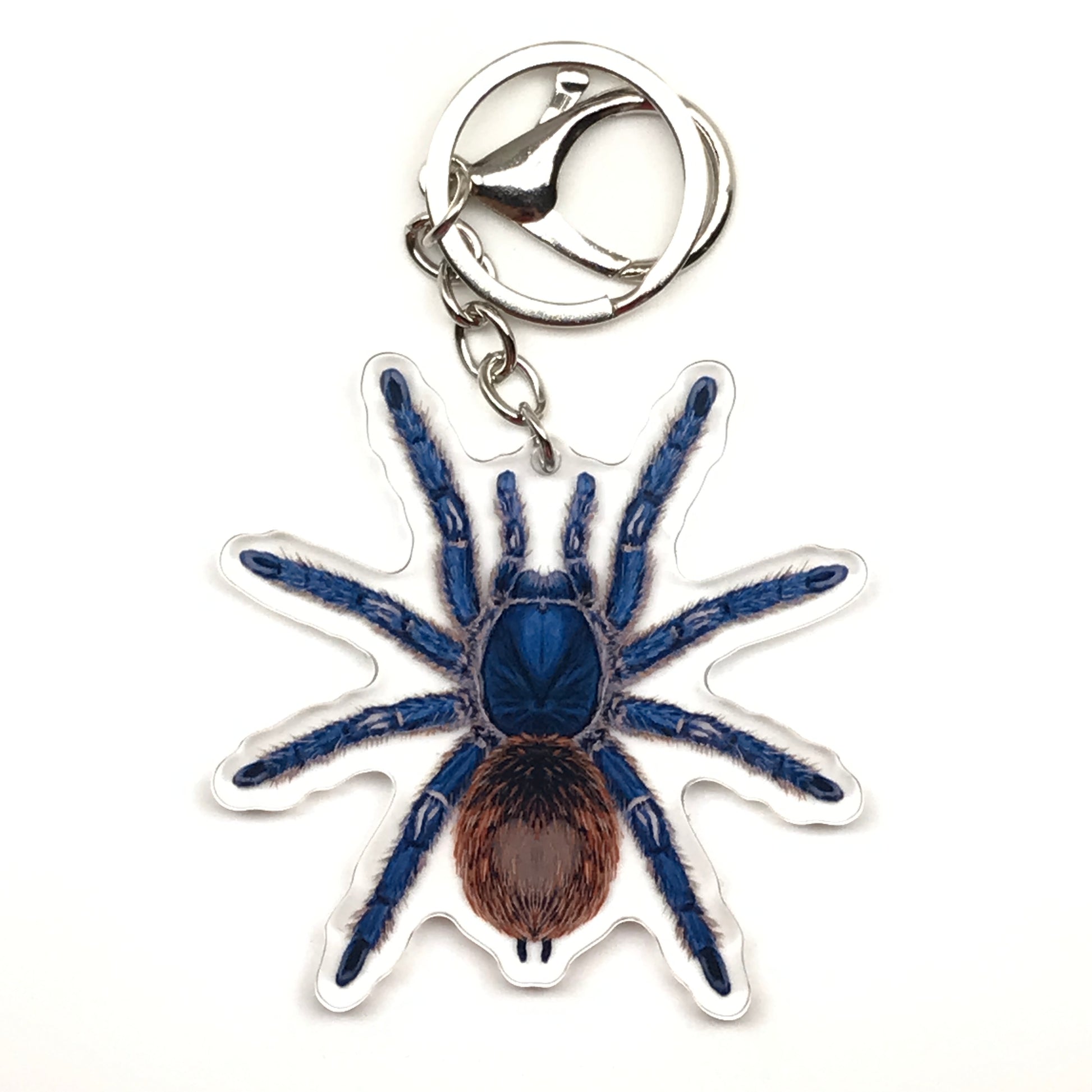 Cobalt red rump tarantula keychain with Ewok Cyaneolum acrylic charm from The Silk Ranch, featuring detailed spider and charm design.
