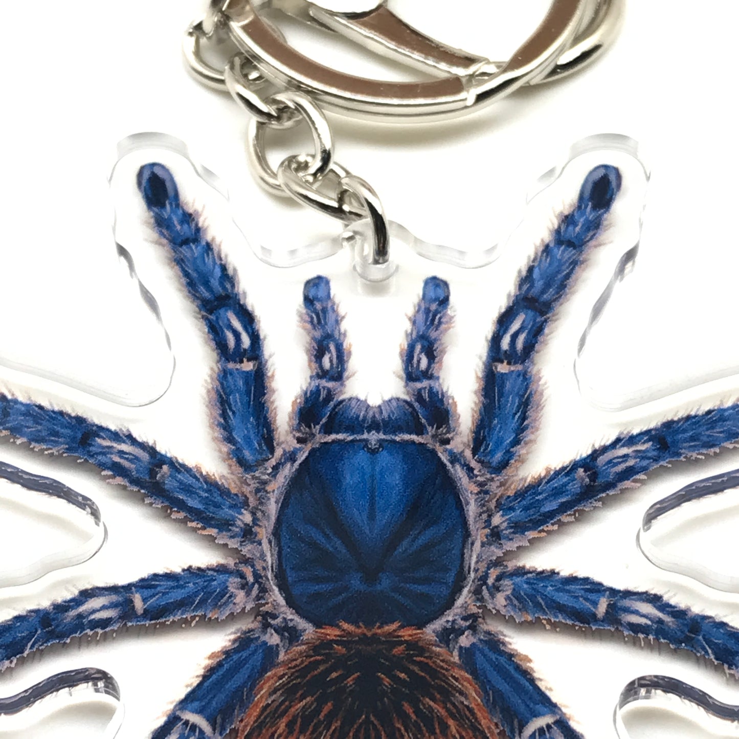 Cobalt Red Rump Tarantula keychain with Ewok Cyaneolum acrylic charm, featuring vivid colors and detailed design from The Silk Ranch.