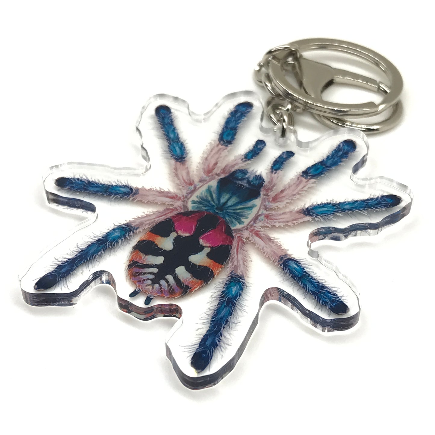 Brazilian Jewel Tarantula keychain by The Silk Ranch featuring a colorful acrylic charm of Typhochlaena Seladonia tarantula.