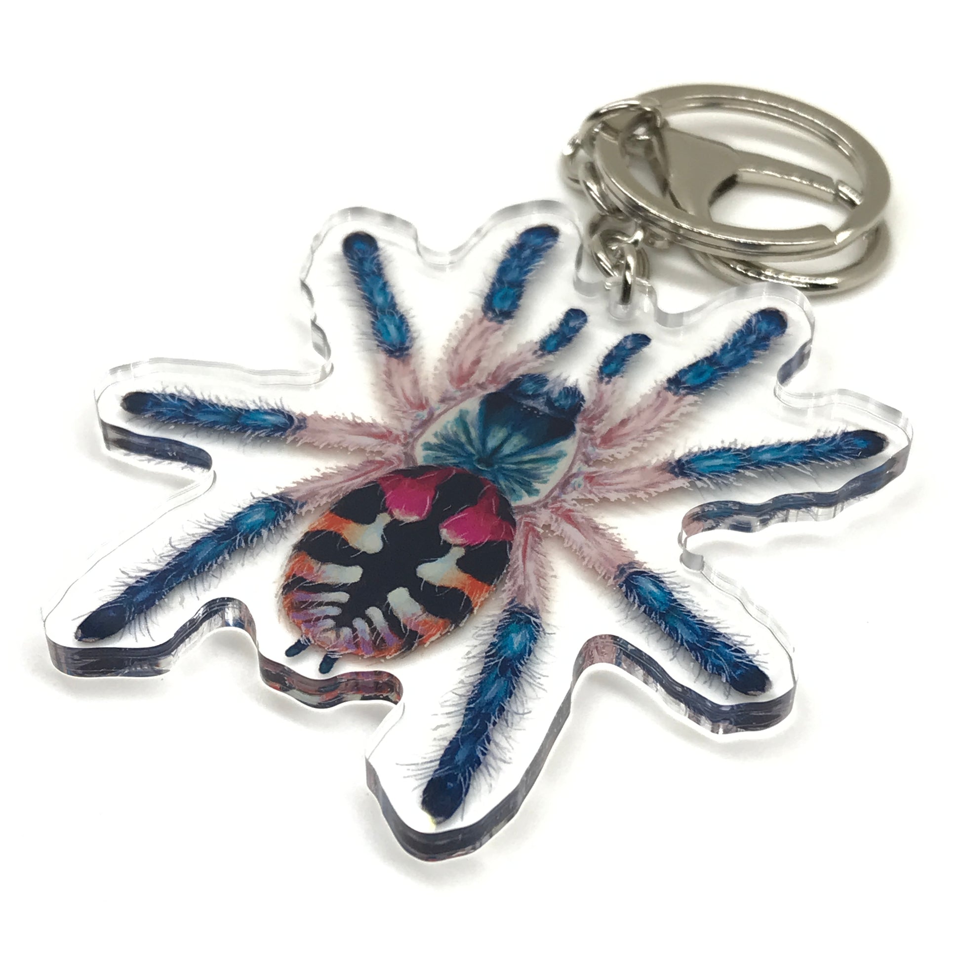 Brazilian Jewel Tarantula keychain by The Silk Ranch featuring a colorful acrylic charm of Typhochlaena Seladonia tarantula.