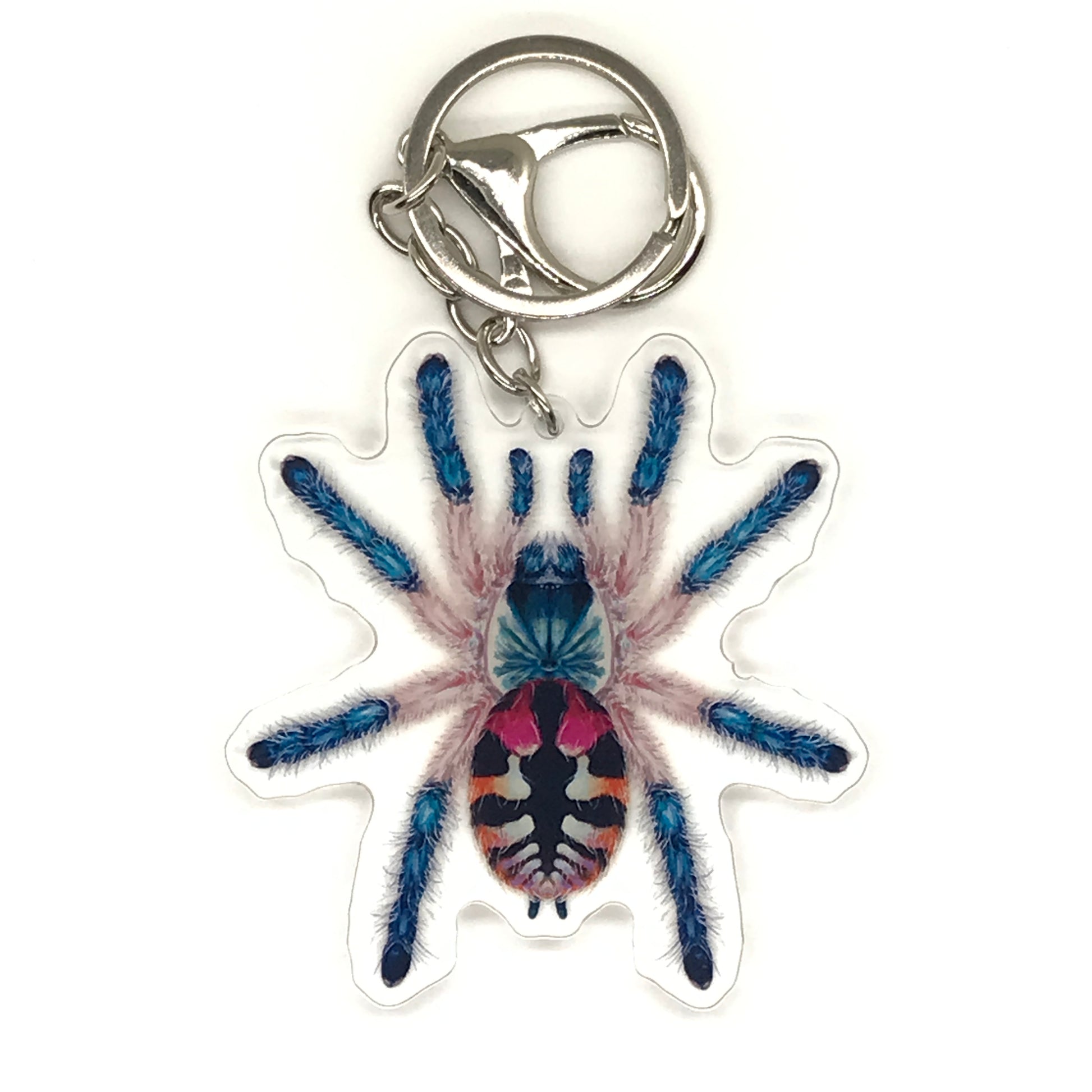 Acrylic charm keychain featuring a Brazilian Jewel Tarantula (Typhochlaena Seladonia) with vibrant green and yellow colors.