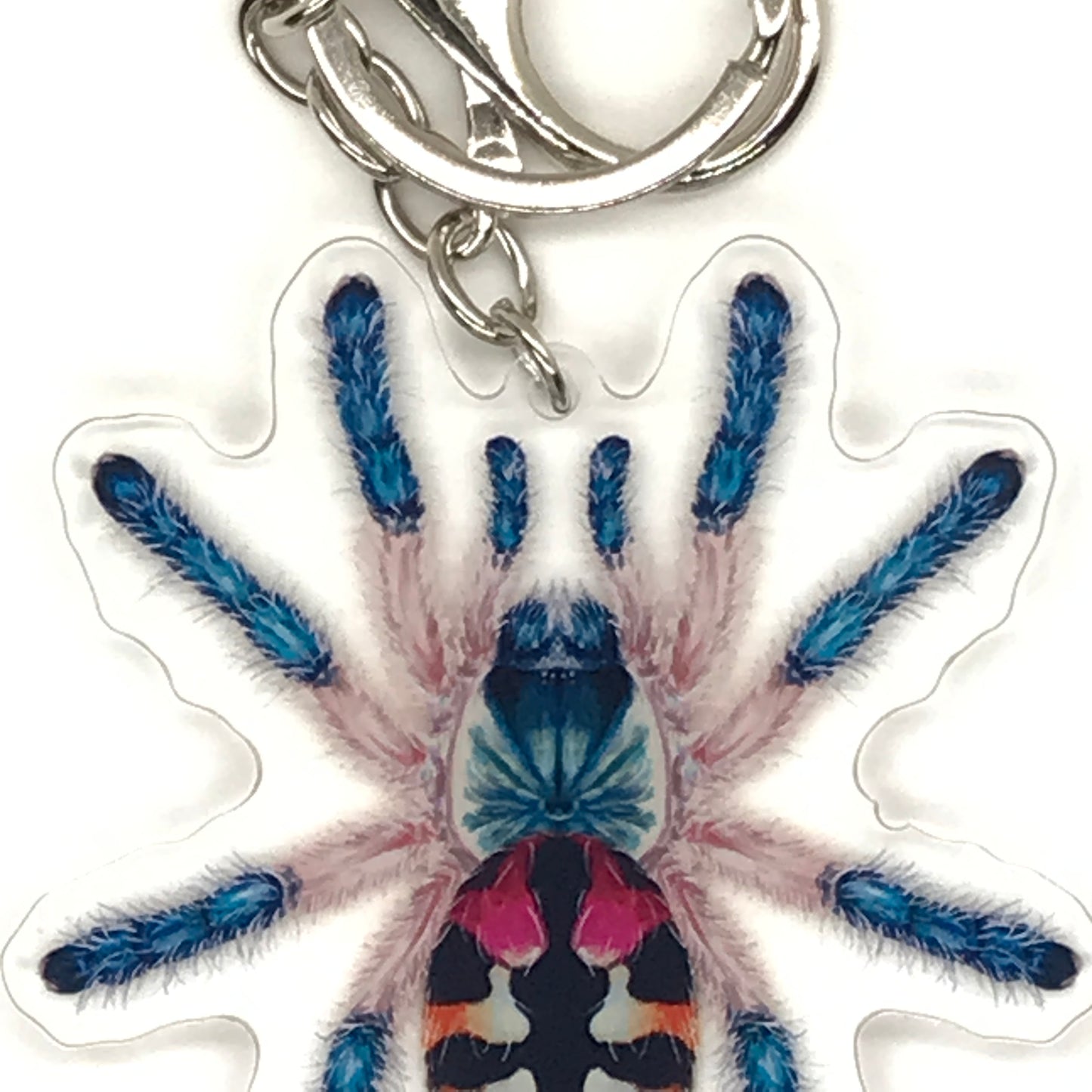 Acrylic keychain featuring a Brazilian Jewel Tarantula (Typhochlaena Seladonia) charm with vibrant colors and detailed spider design.