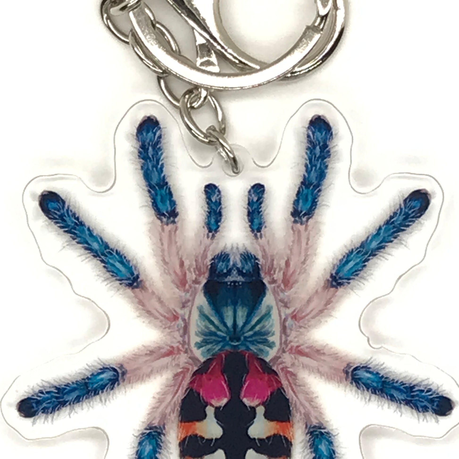 Acrylic keychain featuring a Brazilian Jewel Tarantula (Typhochlaena Seladonia) charm with vibrant colors and detailed spider design.