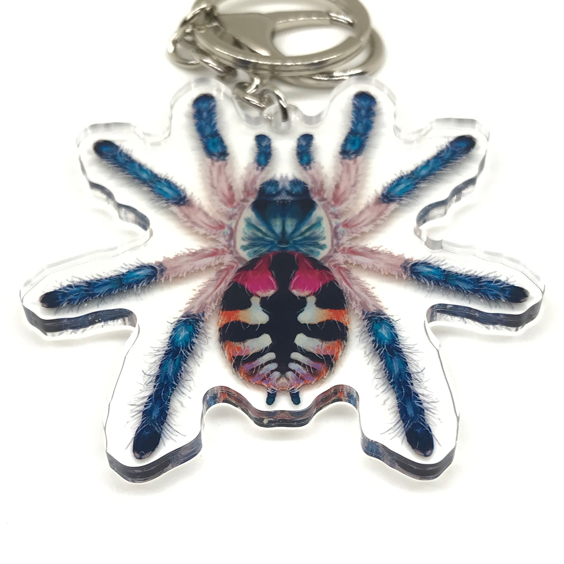 Brazilian Jewel Tarantula keychain by The Silk Ranch featuring a colorful acrylic charm of Typhochlaena seladonia spider.