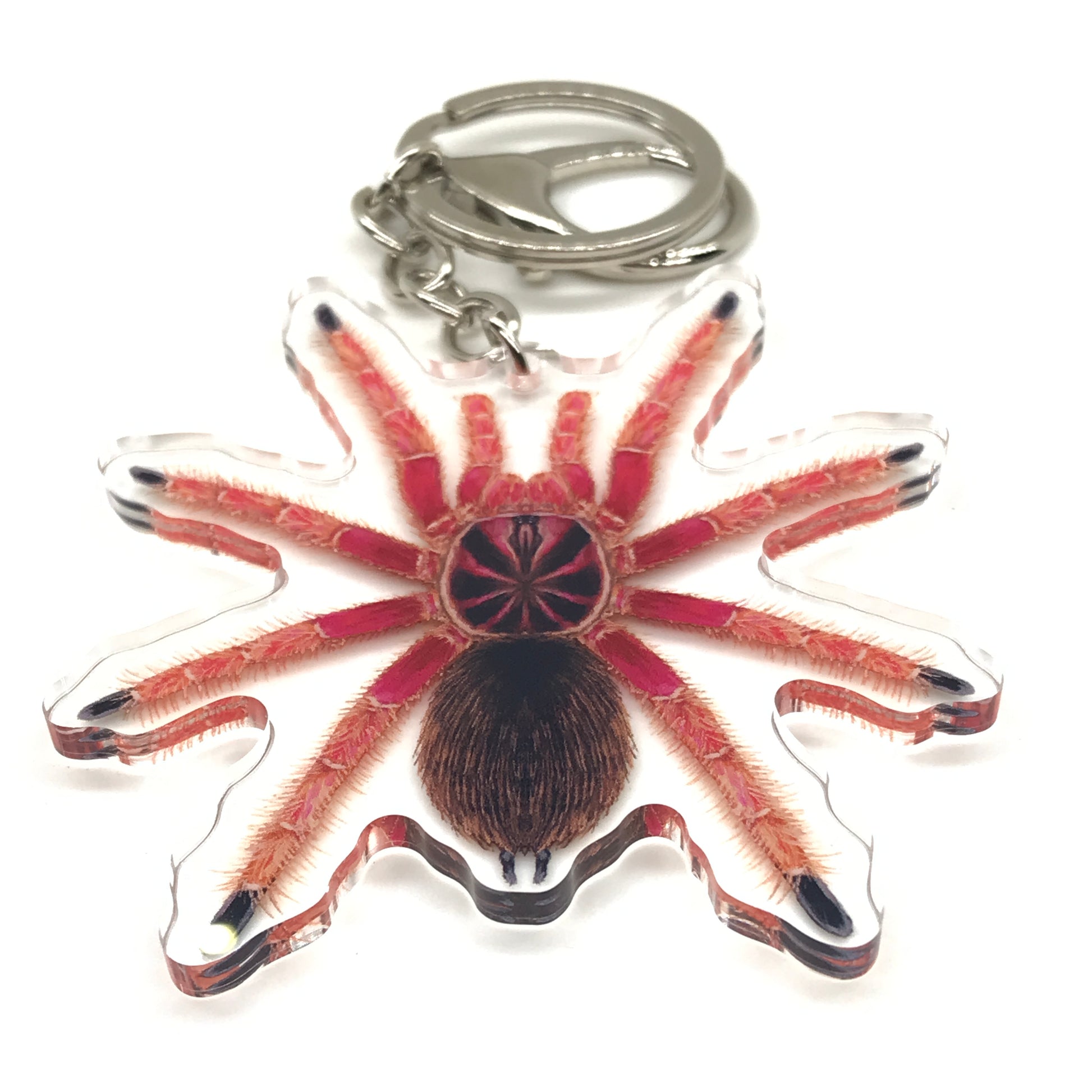 Sunburst Pamphobeteus tarantula acrylic keychain featuring vibrant orange and black colors, showcasing detailed arachnid design.