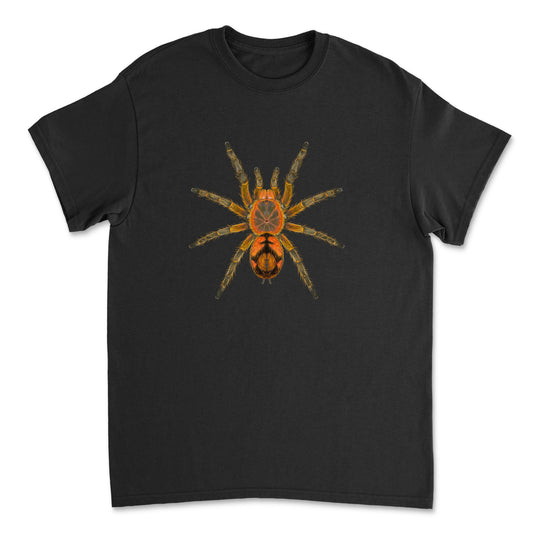 Peruvian Firecracker Tarantula art T-shirt featuring vibrant spider design on a Gildan T-shirt by Mingo Art.