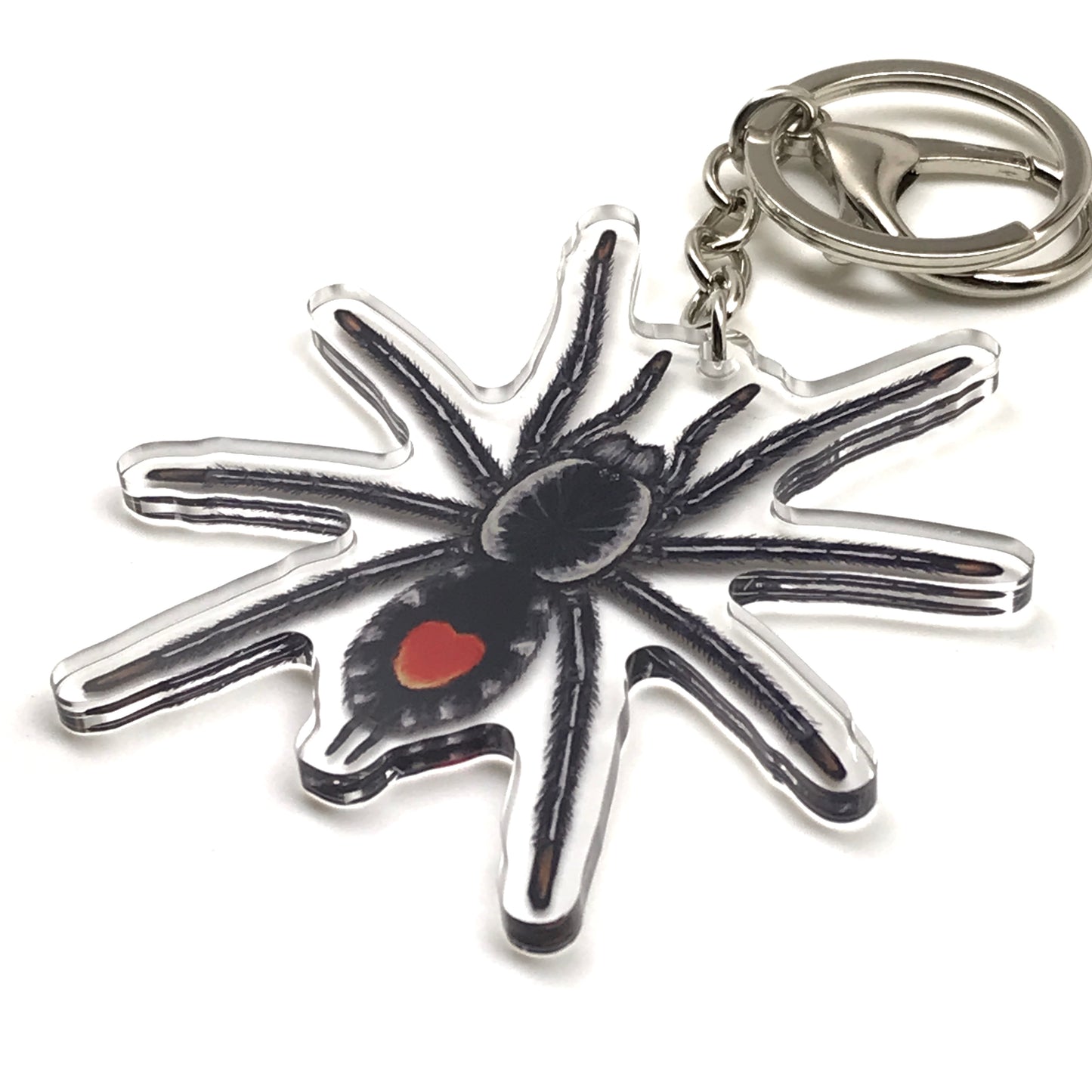 Redback Phantom Tarantula keychain featuring a Cyriocosmus Hoeferi acrylic charm on a durable keyring.